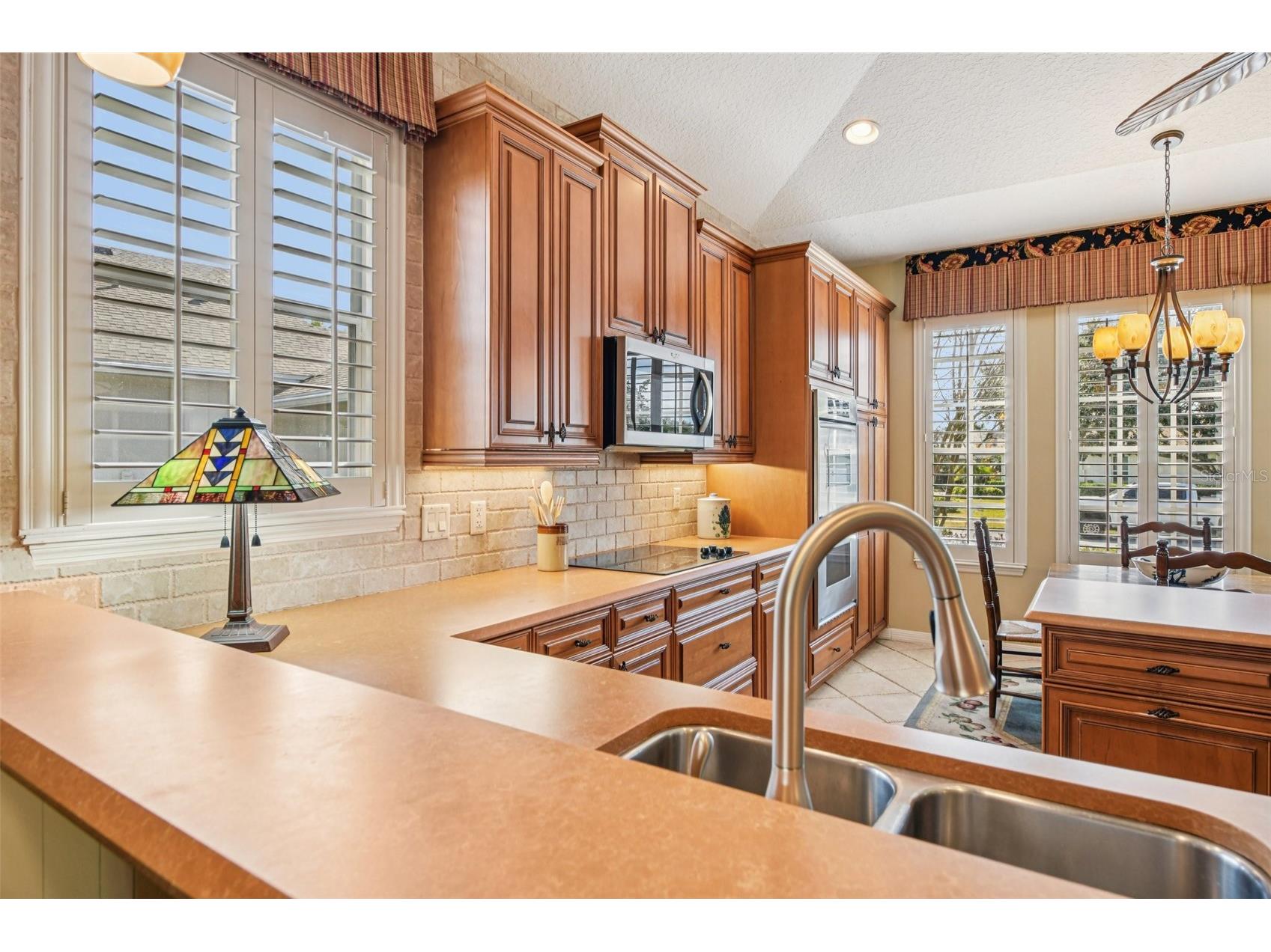 8013 Pine Hollow Drive Mount Dora FL 32757 G5106558 image16