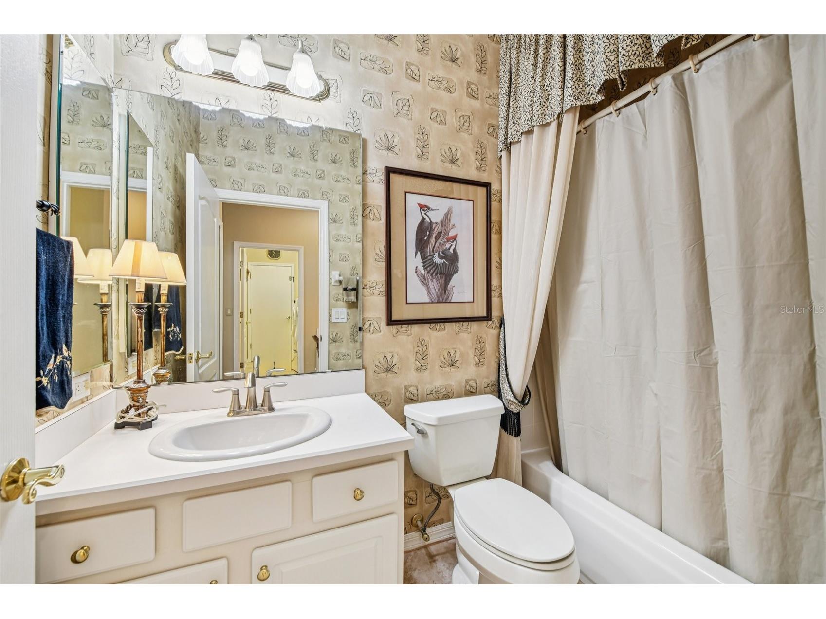 8013 Pine Hollow Drive Mount Dora FL 32757 G5106558 image25