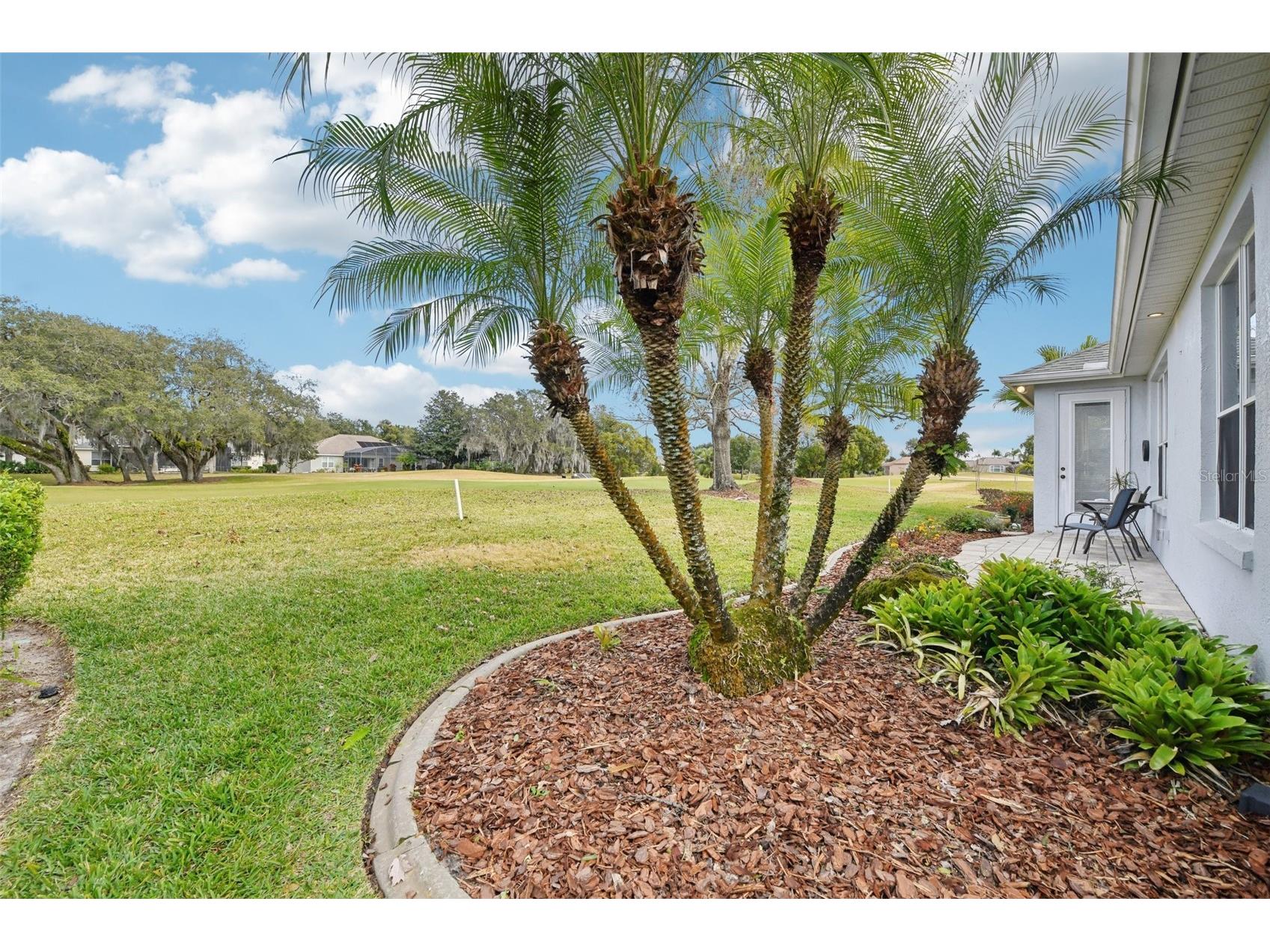 8013 Pine Hollow Drive Mount Dora FL 32757 G5106558 image28