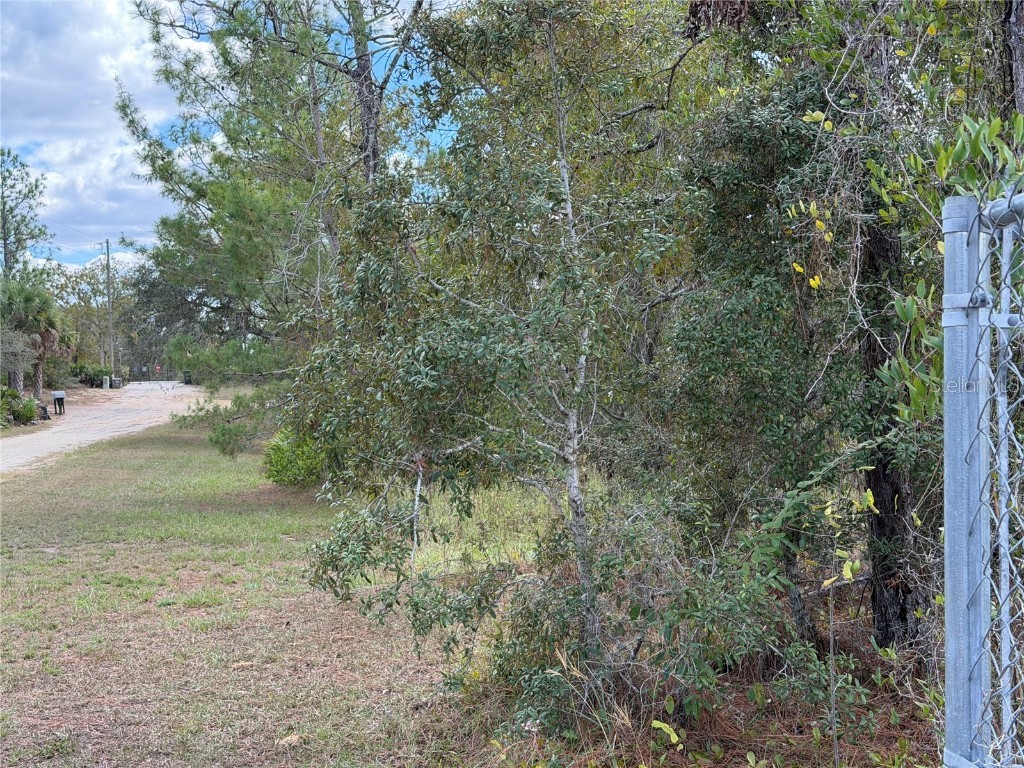 8014 N Zaval Avenue Dunnellon FL 34433 W7880117 image1