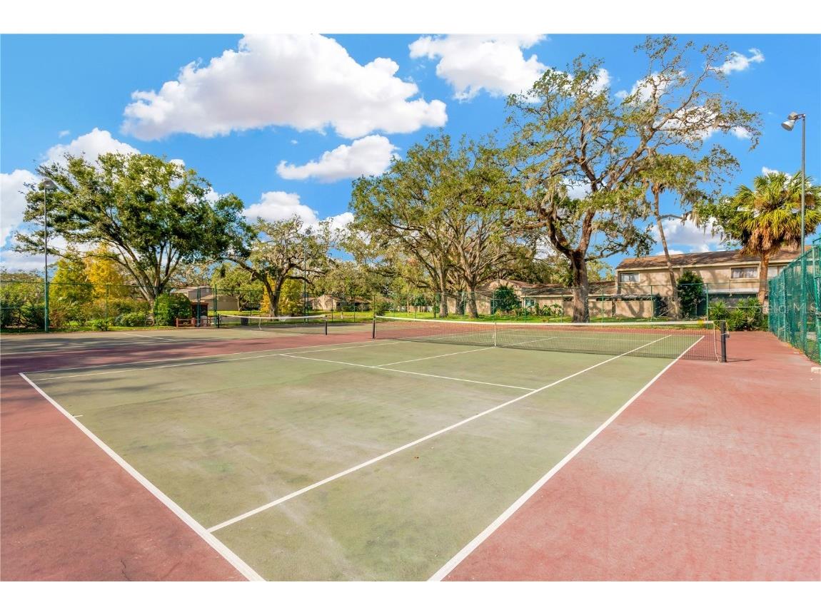 8014 Peach Drive Temple Terrace FL 33637 TB8461498 image12