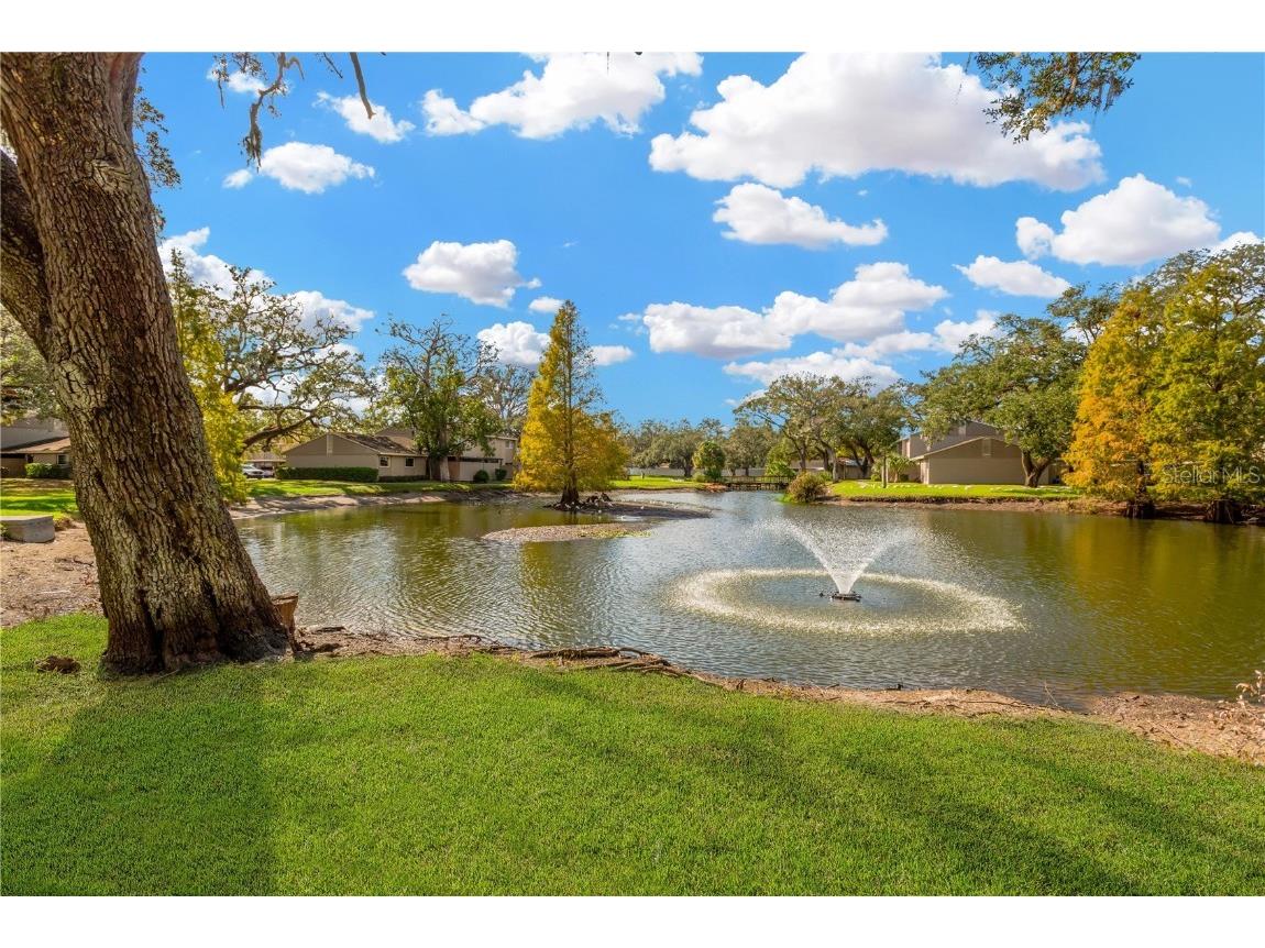 8014 Peach Drive Temple Terrace FL 33637 TB8461498 image13