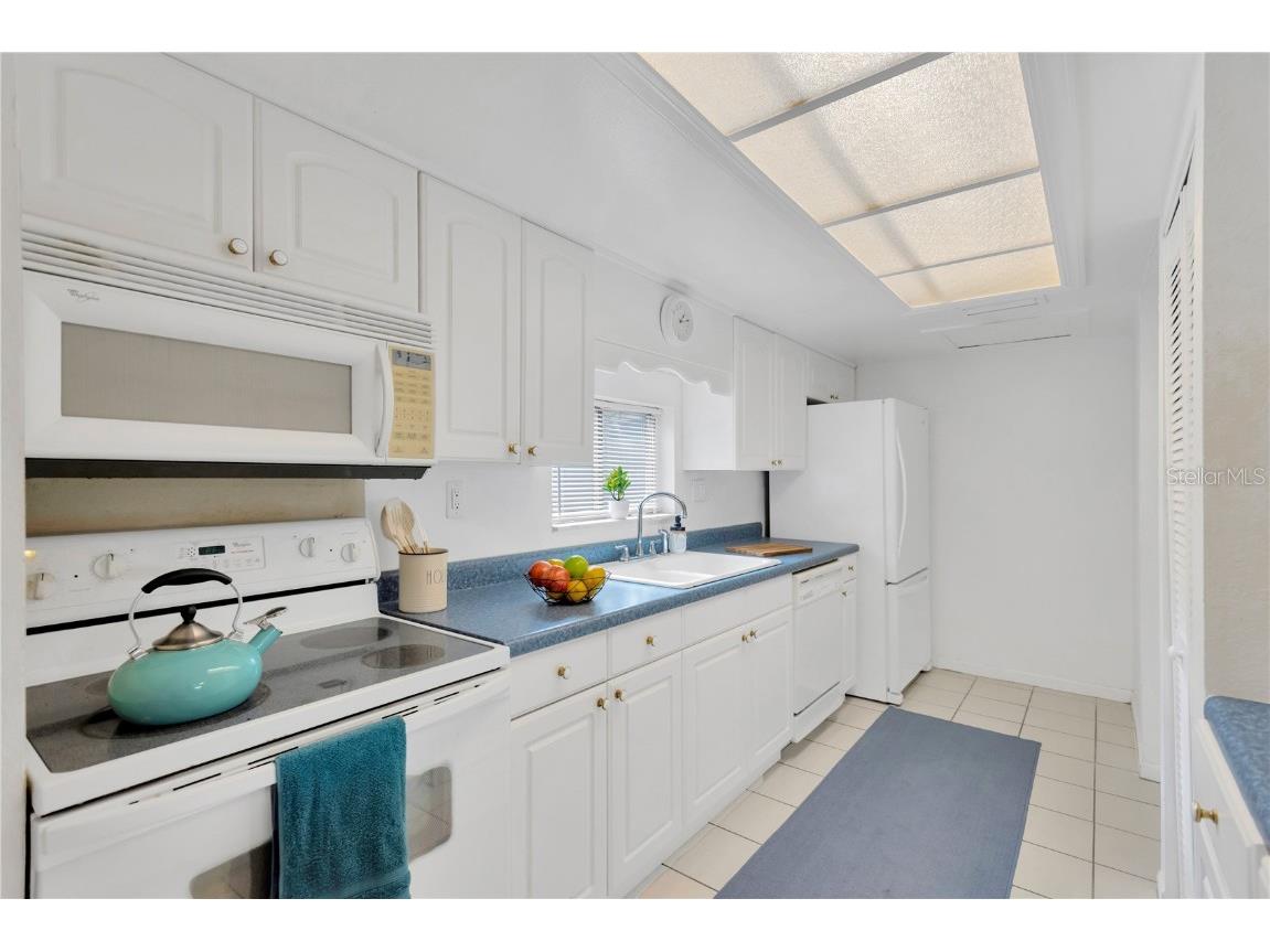 8014 Peach Drive Temple Terrace FL 33637 TB8461498 image5