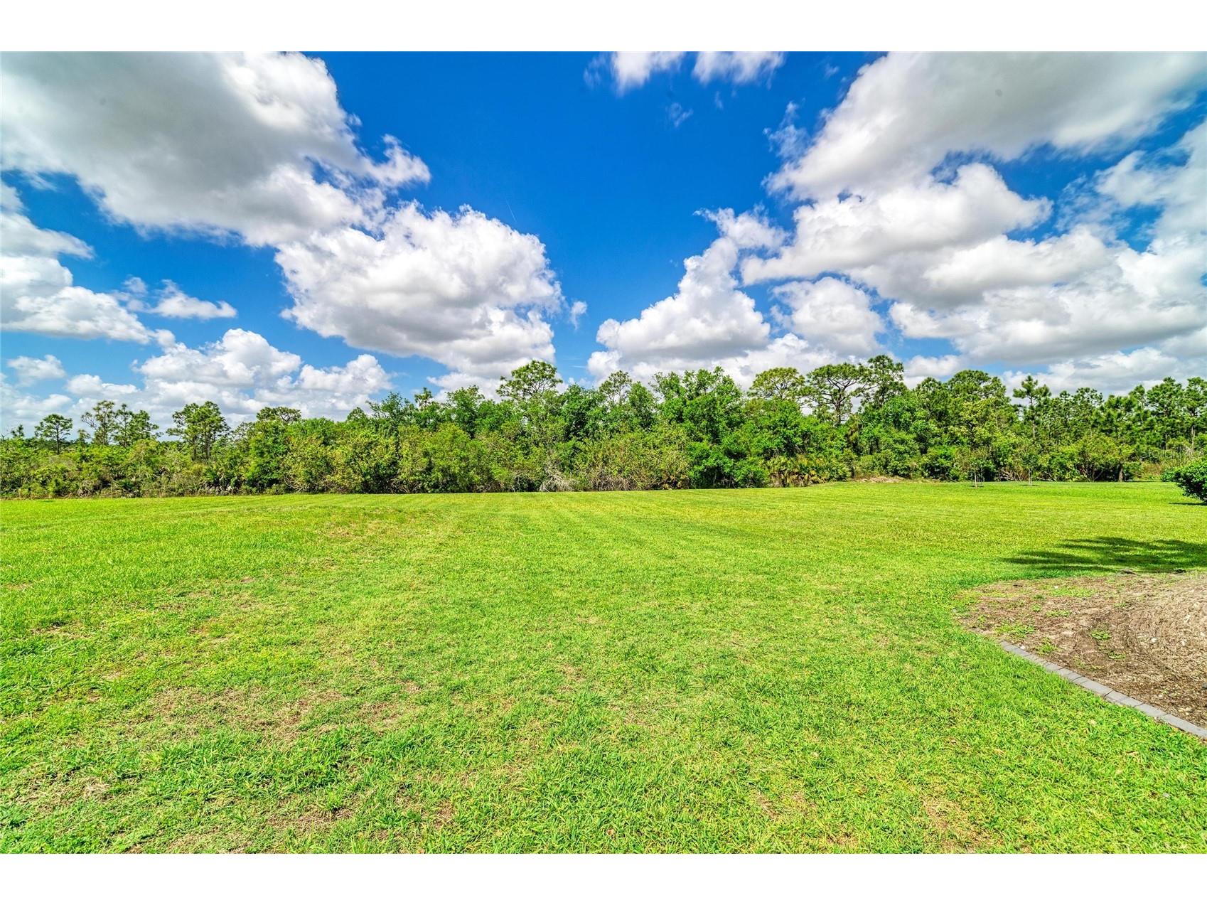 8014 Snowy Egret Place Bradenton FL 34202 A4688862 image46