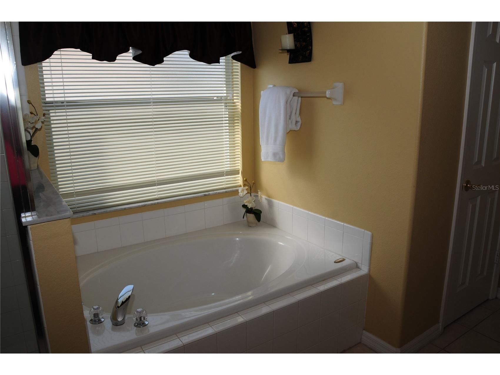 8015 Indian Creek Boulevard Kissimmee FL 34747 O6395293 image29