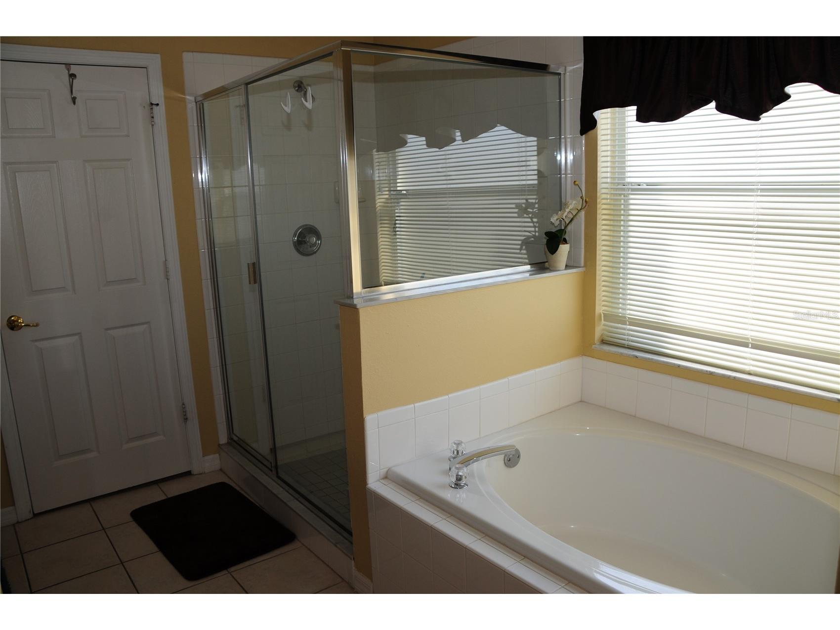 8015 Indian Creek Boulevard Kissimmee FL 34747 O6395293 image30