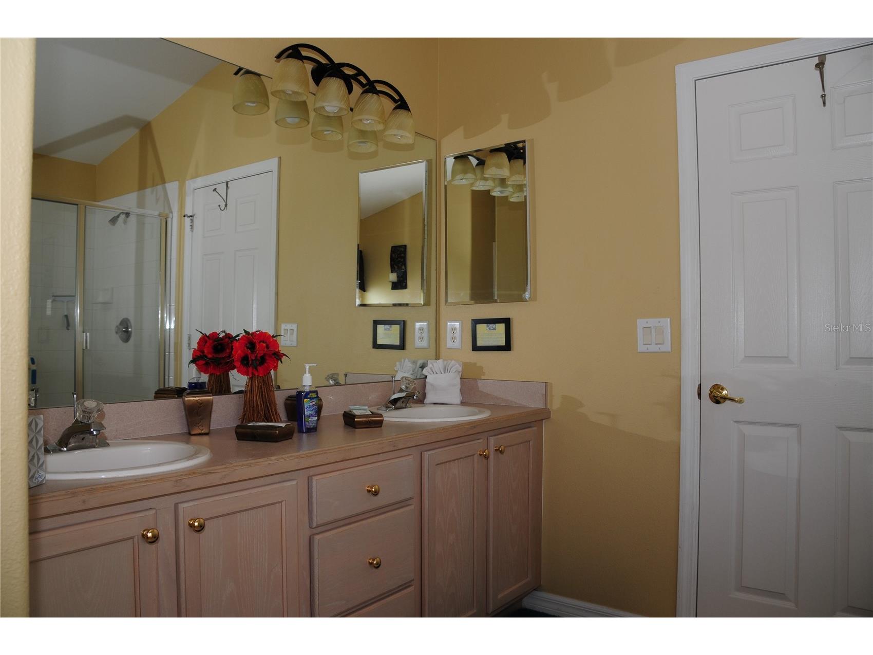 8015 Indian Creek Boulevard Kissimmee FL 34747 O6395293 image42