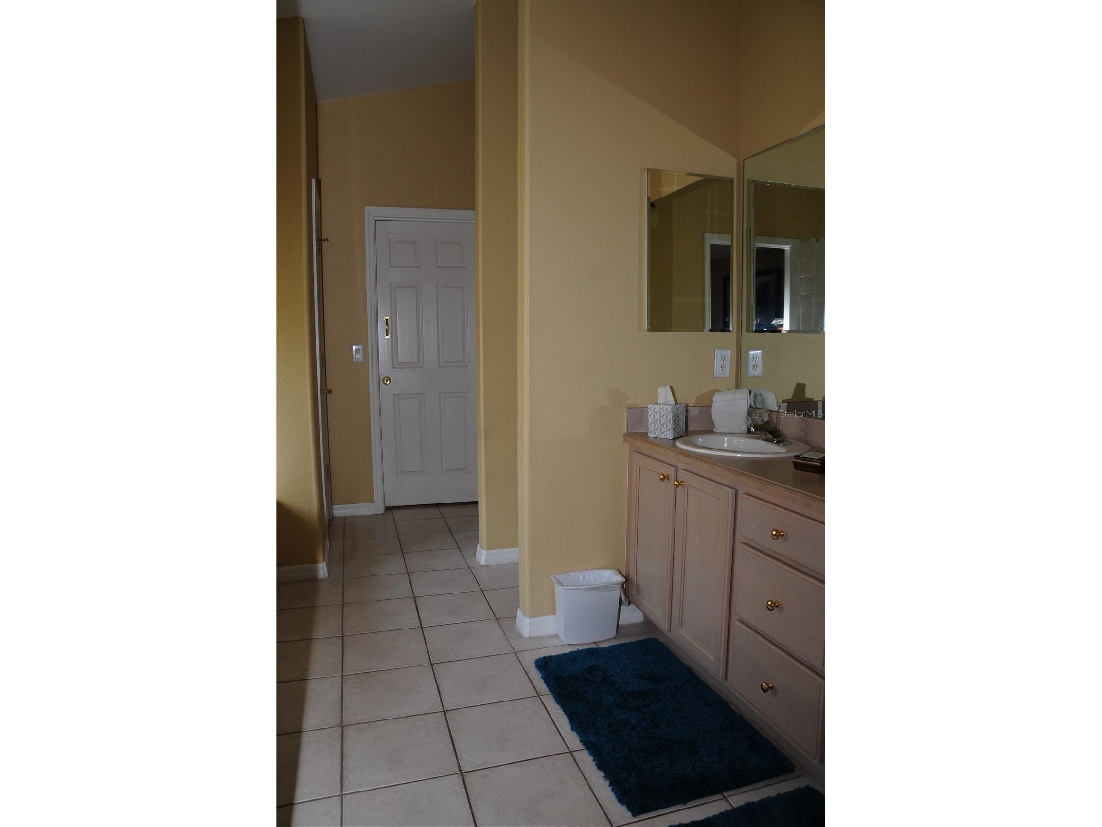 8015 Indian Creek Boulevard Kissimmee FL 34747 O6395293 image45