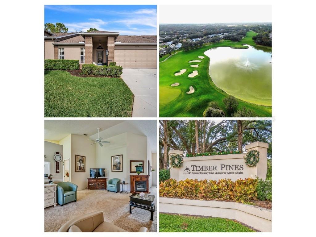 8015 Willow Brook Drive Spring Hill FL 34606 TB8334520 image1