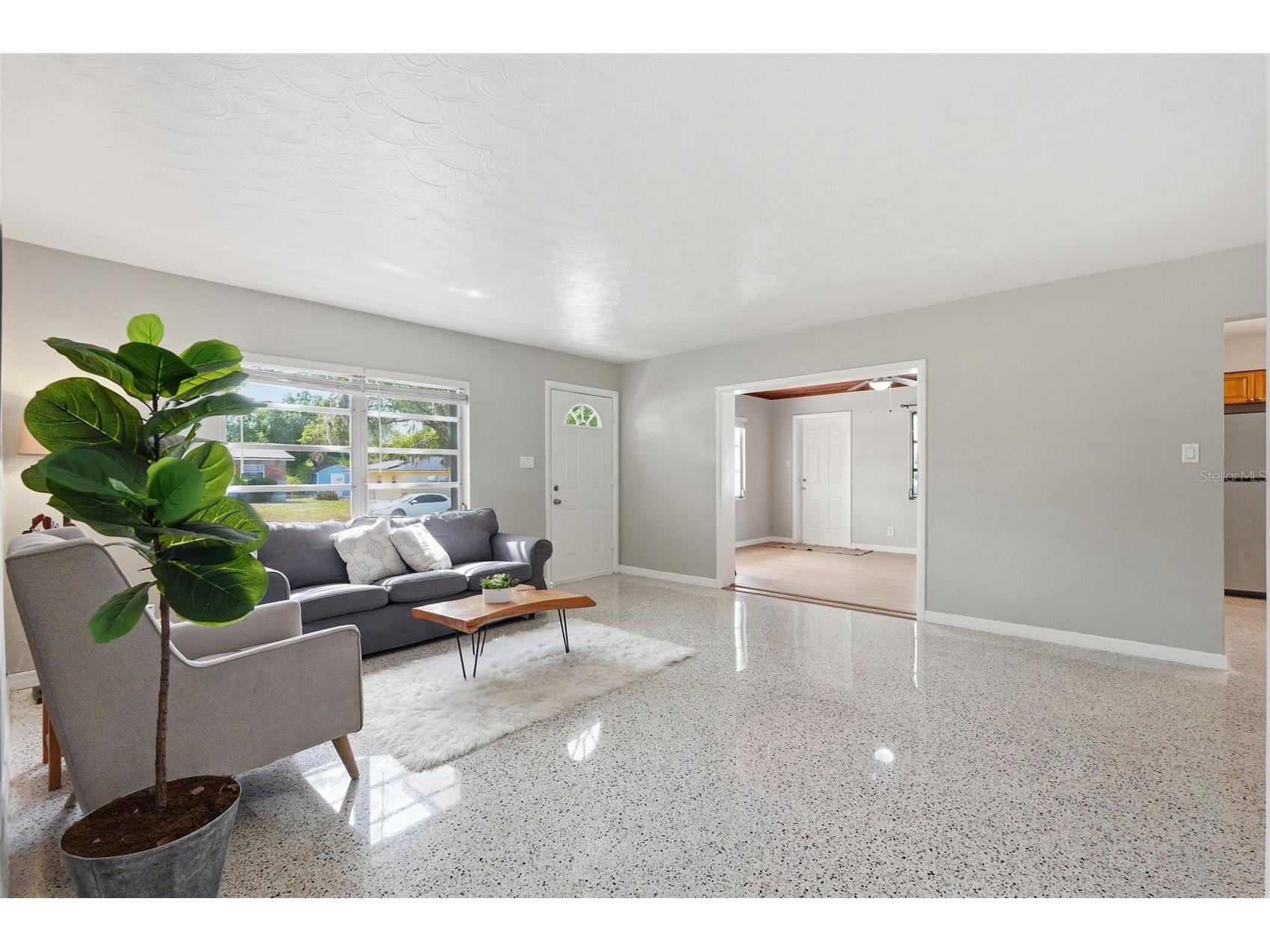 8017 Cardinal Drive Tampa FL 33617 TB8510368 image5