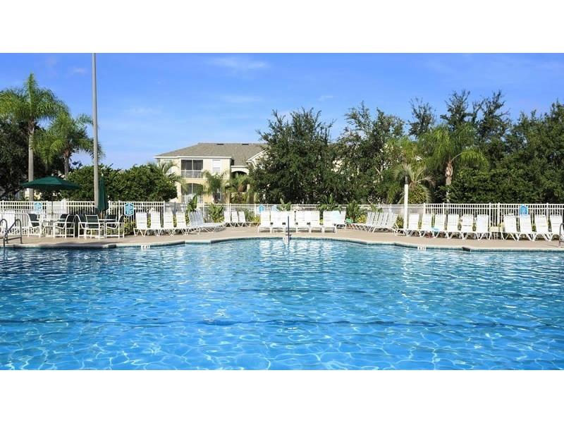 8017 King Palm Circle Kissimmee FL 34747 O6351366 image41