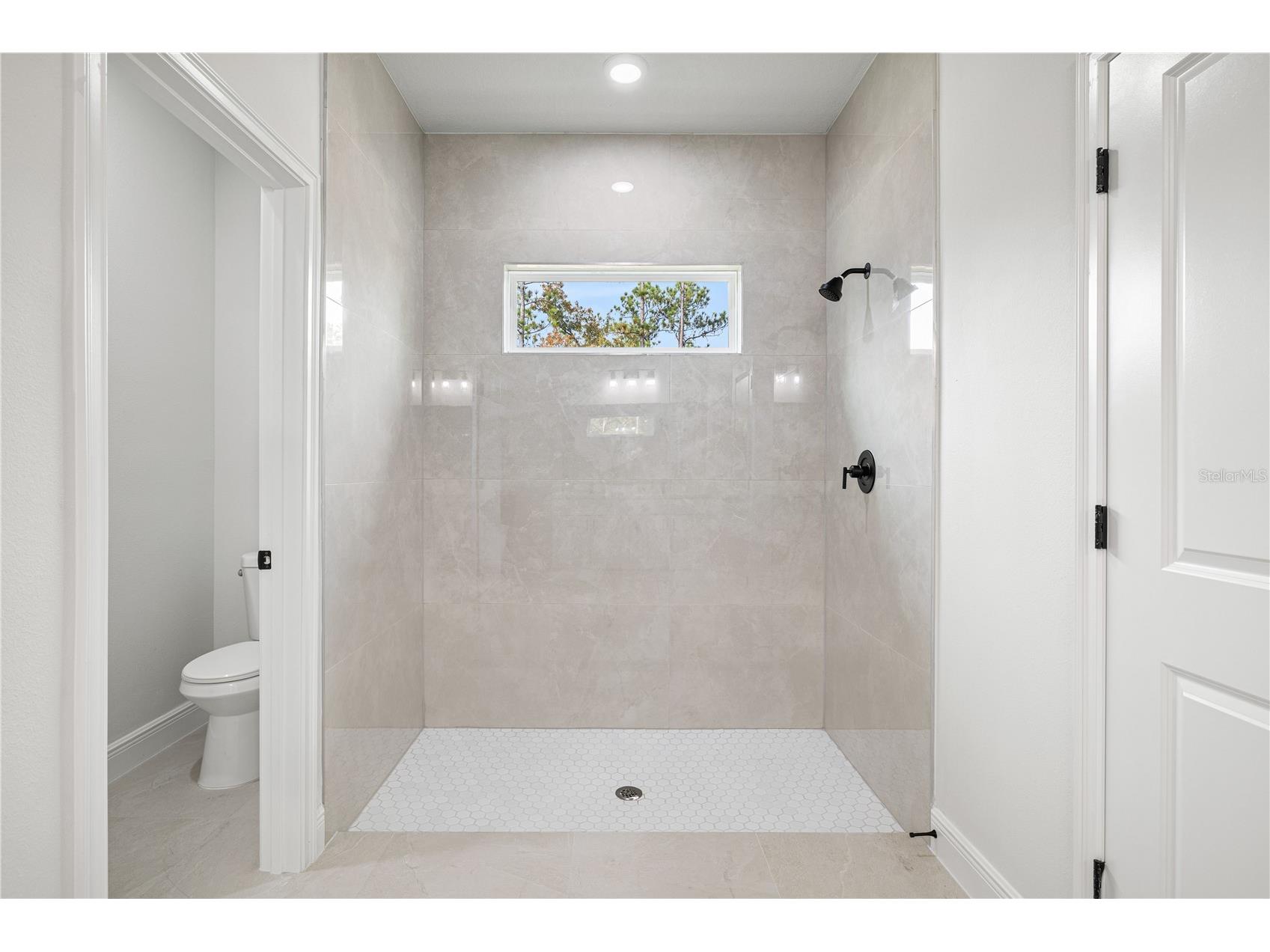 8017 N Maltese Drive Citrus Springs FL 34433 O6363736 image16