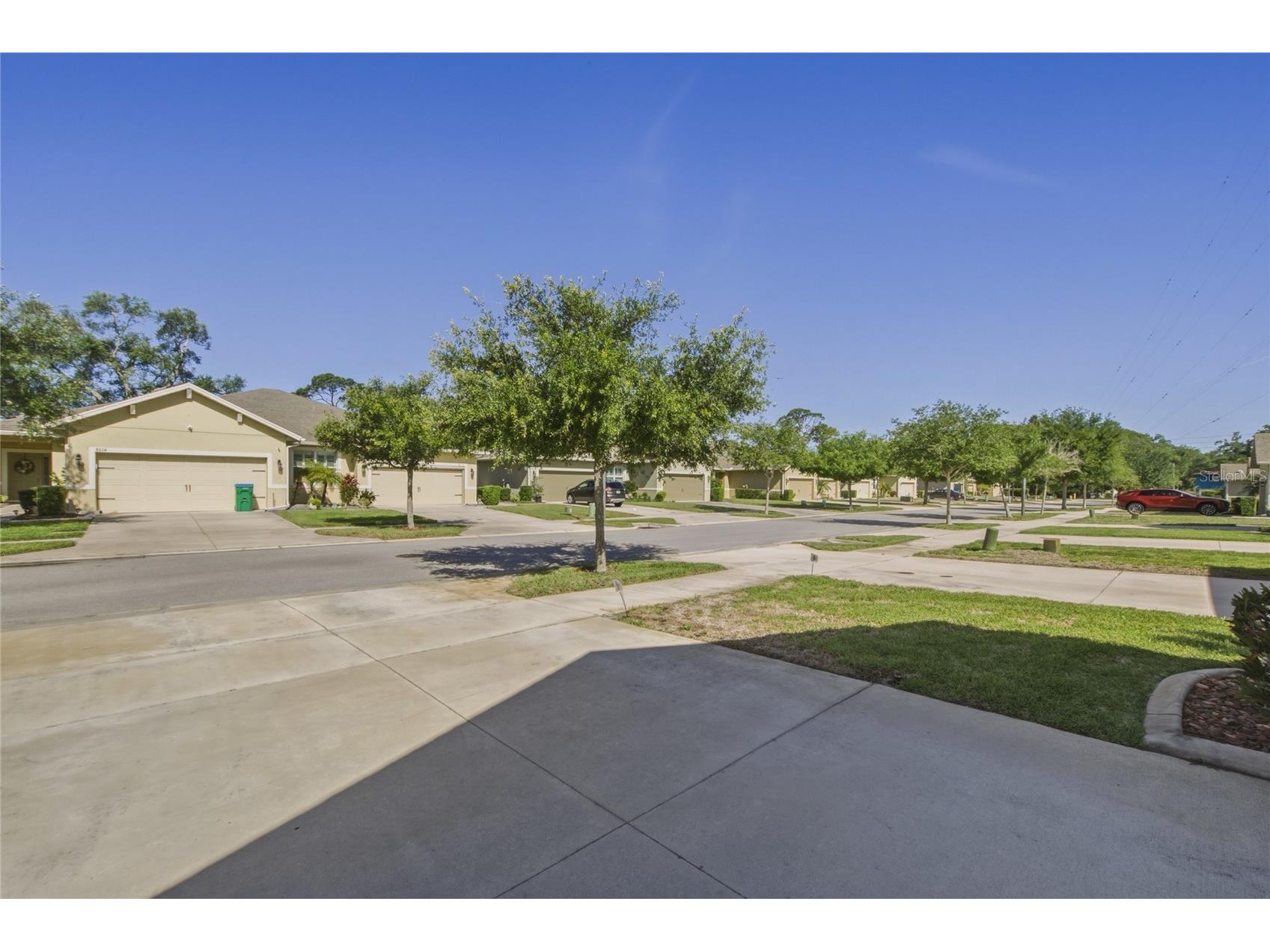 8017 Pine Crest Street Seminole FL 33777 TB8501148 image66