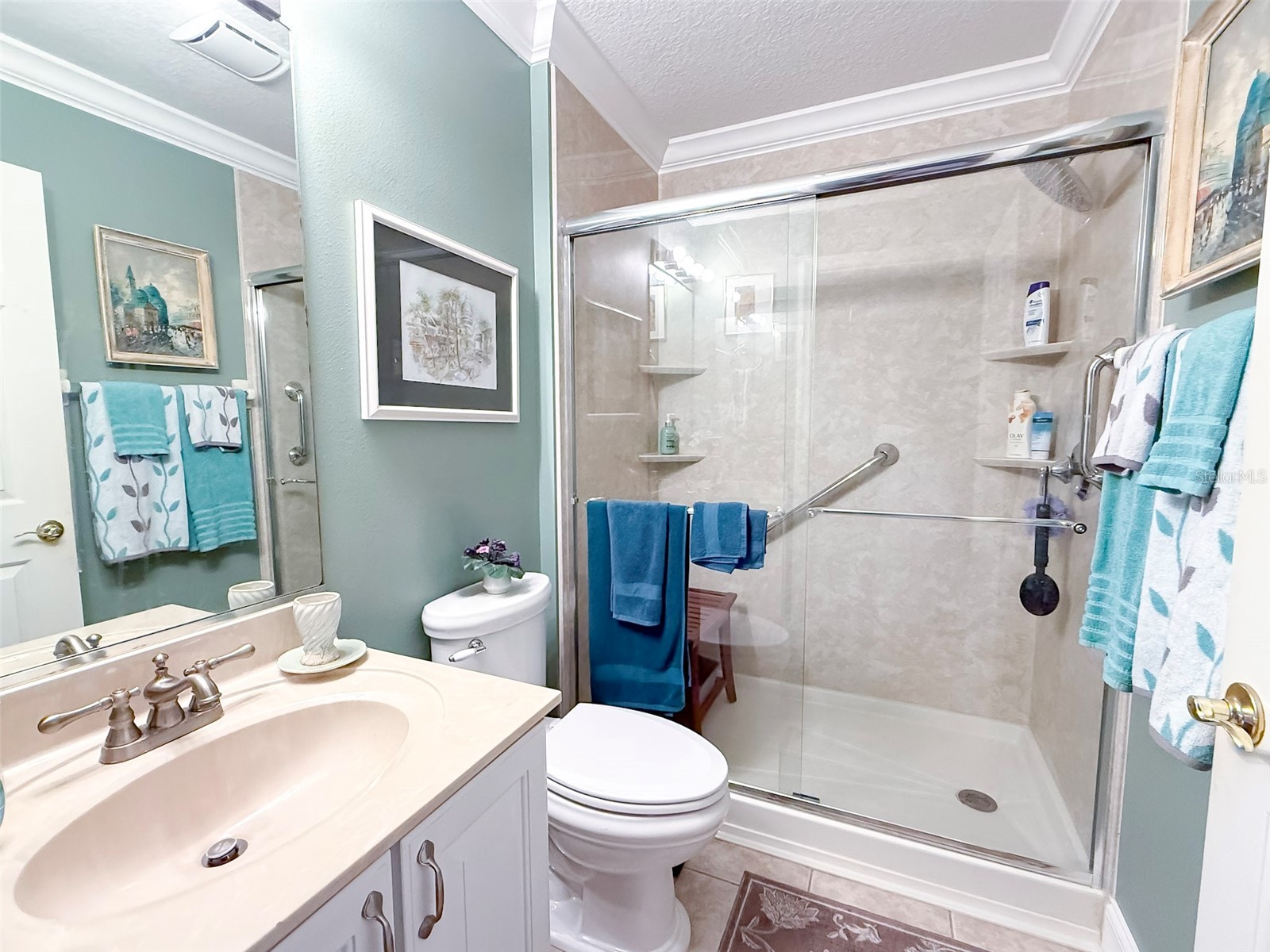 8017 SE 175th Columbia Place The Villages FL 32162 OM716175 image35