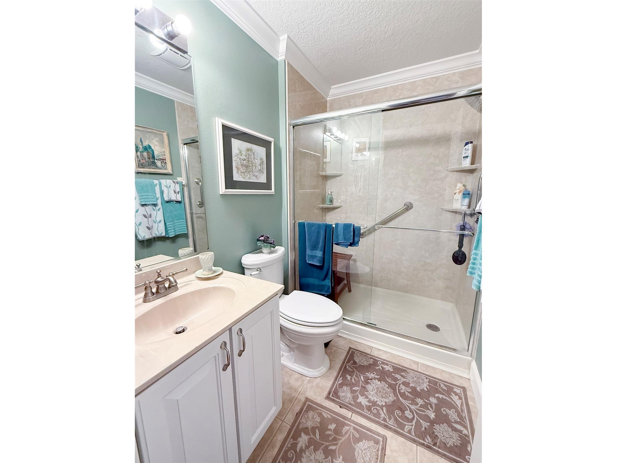 8017 SE 175th Columbia Place The Villages FL 32162 OM716175 image36