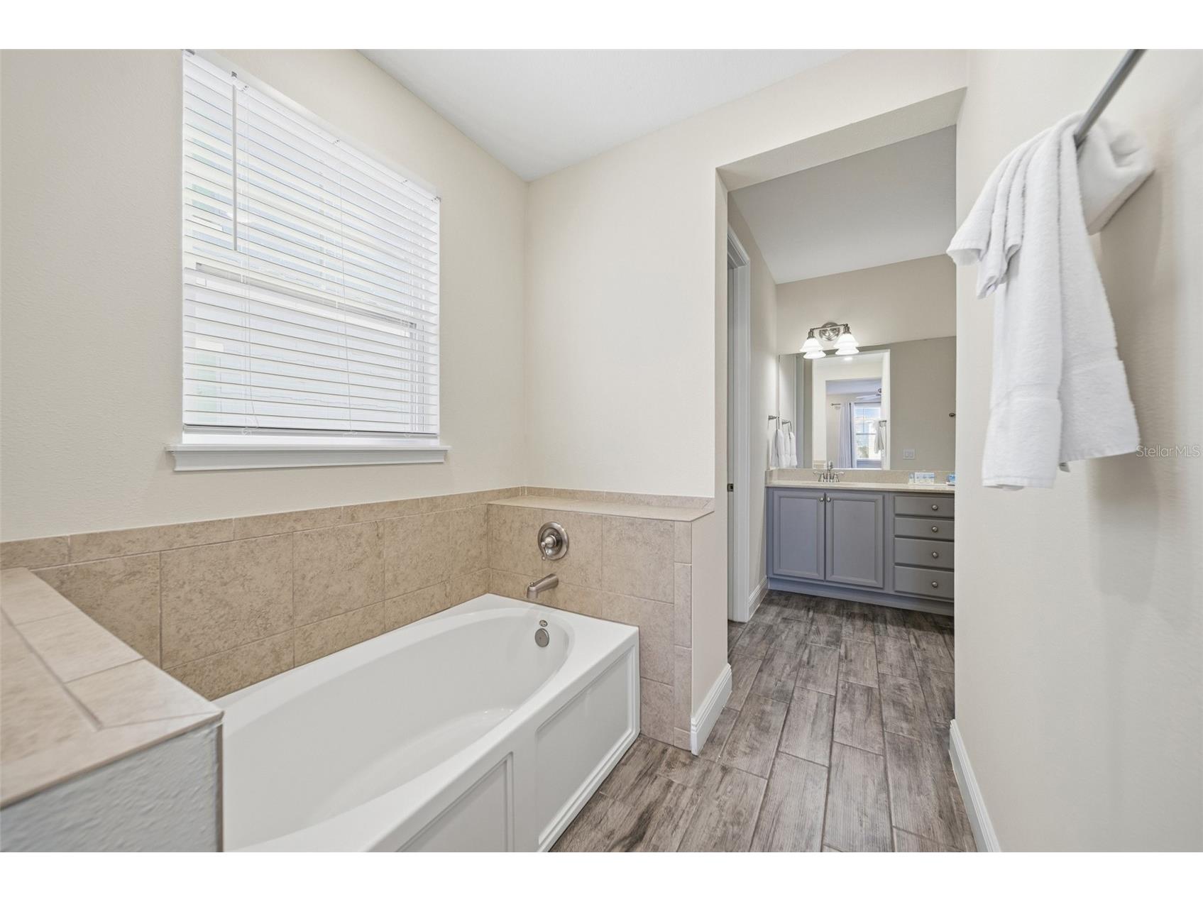 8017 Surf Street Kissimmee FL 34747 O6386683 image38