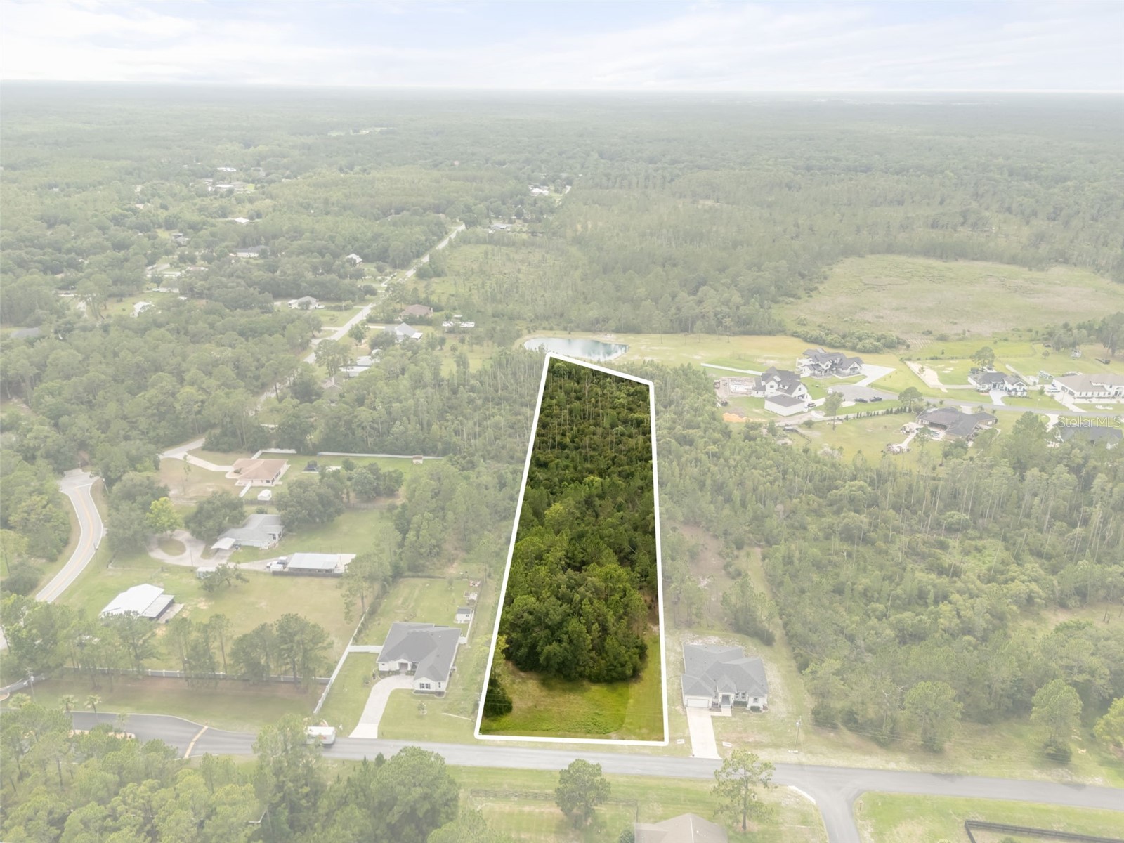 8017 Woodleaf Boulevard Wesley Chapel FL 33544 R4911453 image1