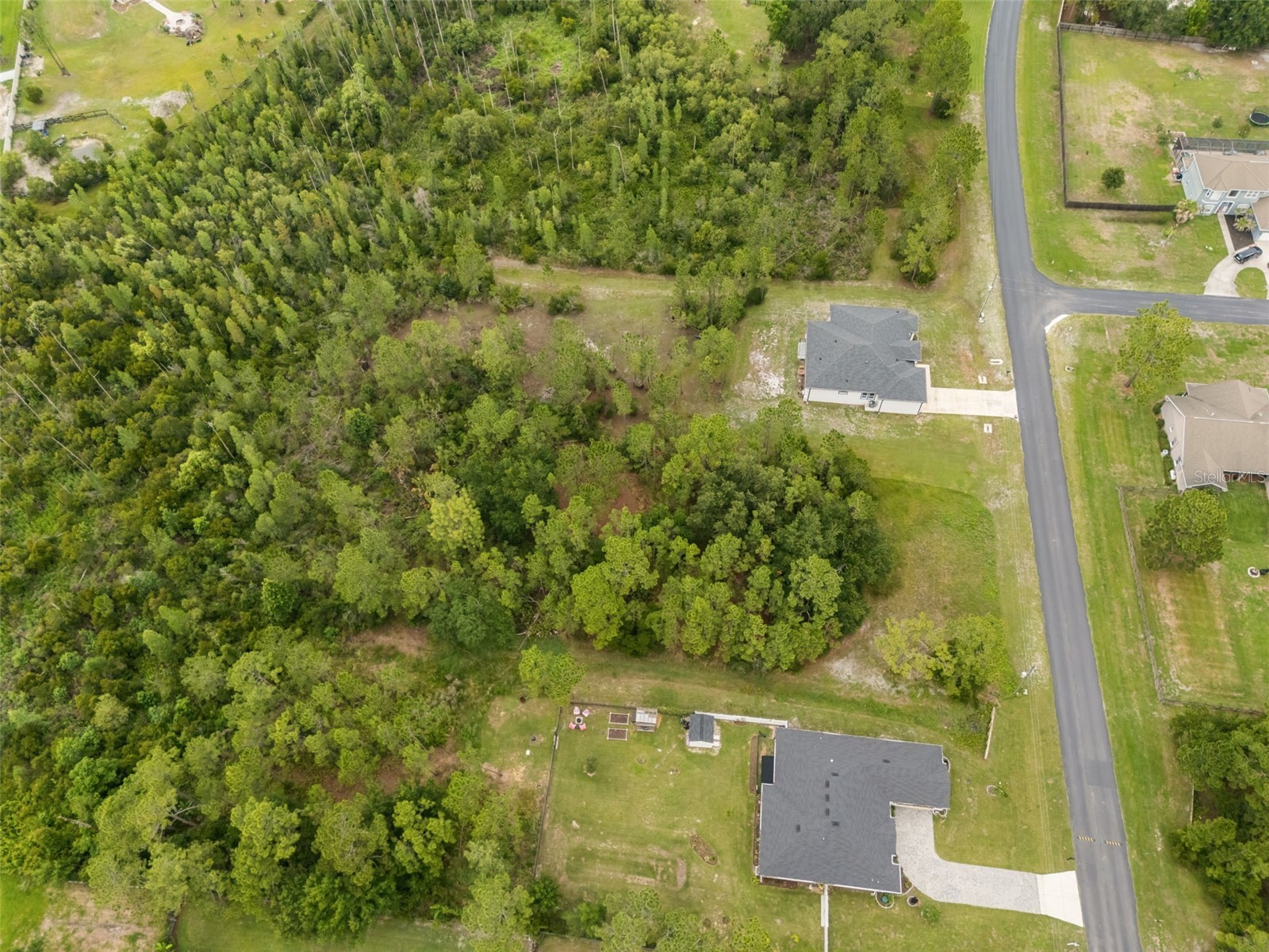 8017 Woodleaf Boulevard Wesley Chapel FL 33544 R4911453 image3