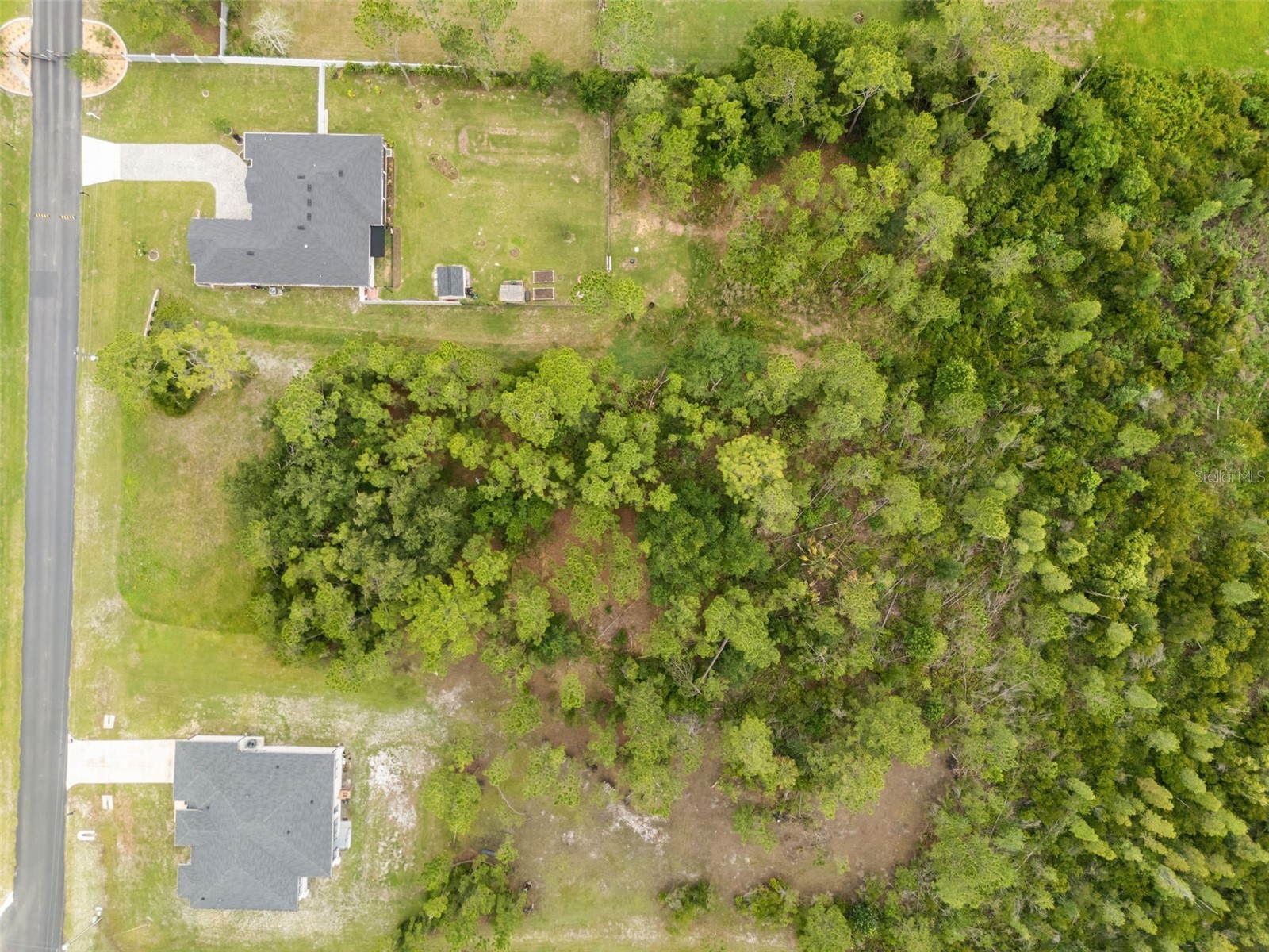 8017 Woodleaf Boulevard Wesley Chapel FL 33544 R4911453 image4