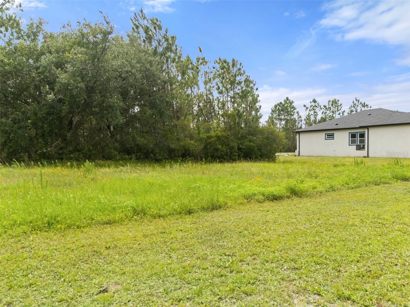 8017 Woodleaf Boulevard Wesley Chapel FL 33544 R4911453 image5