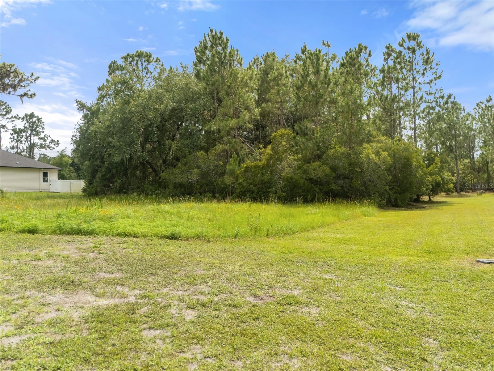 8017 Woodleaf Boulevard Wesley Chapel FL 33544 R4911453 image6