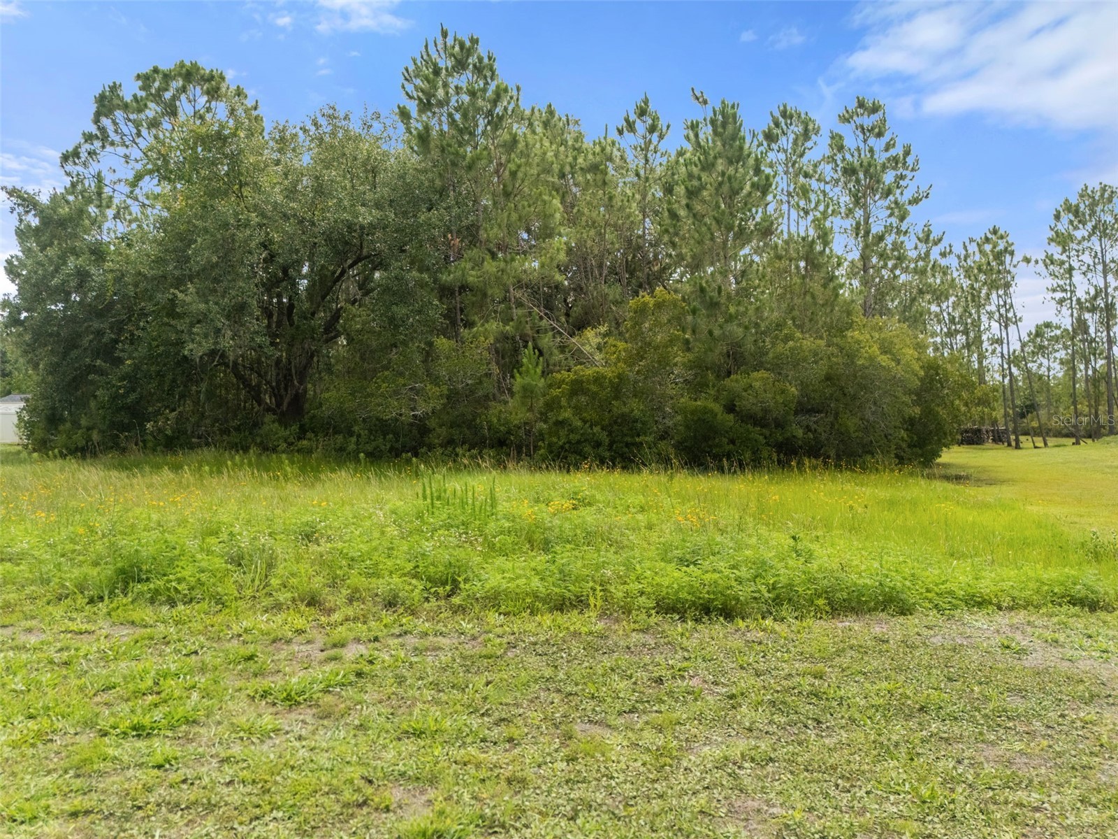 8017 Woodleaf Boulevard Wesley Chapel FL 33544 R4911453 image7