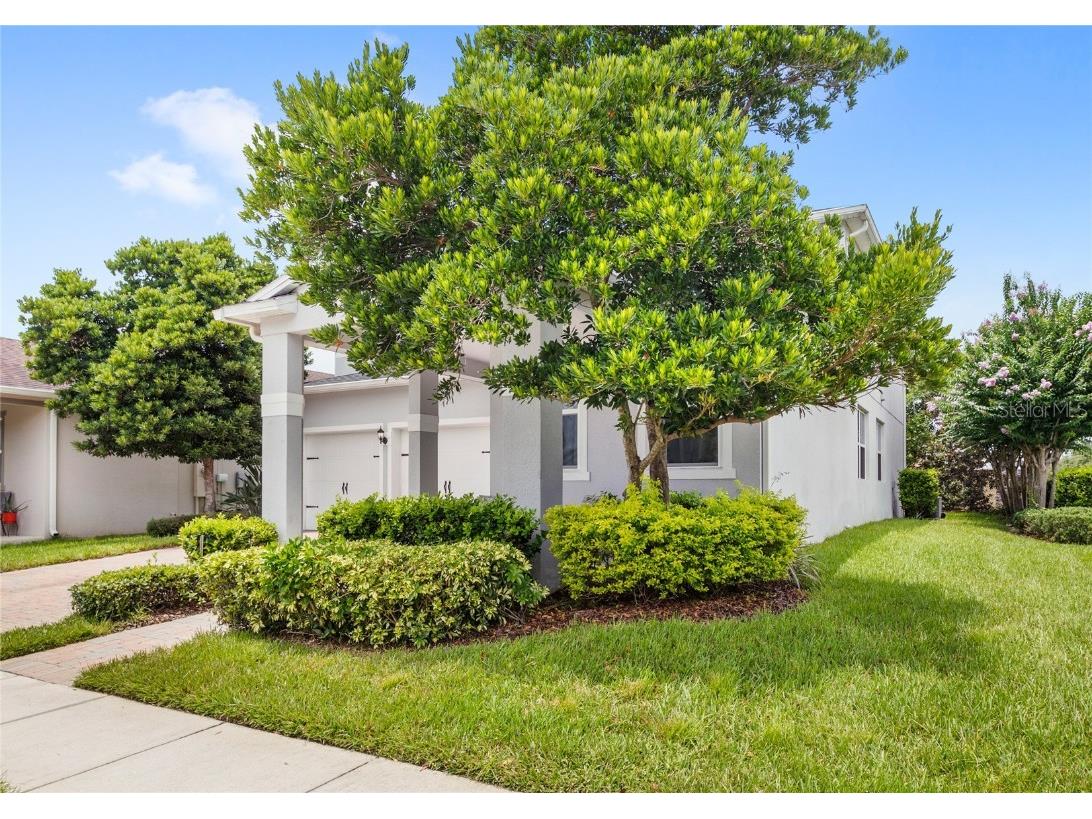 8018 Bowery Drive Winter Garden FL 34787 O6325853 image34