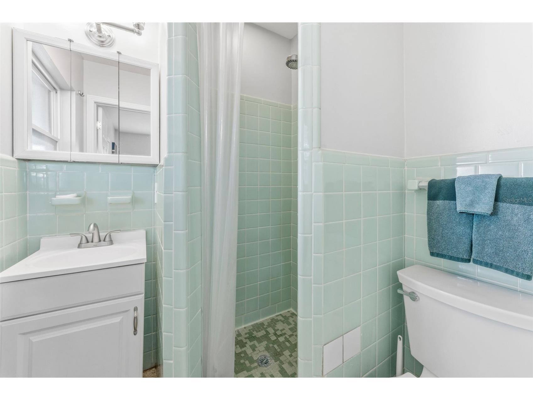 8018 N Ola Avenue Tampa FL 33604 TB8508094 image15