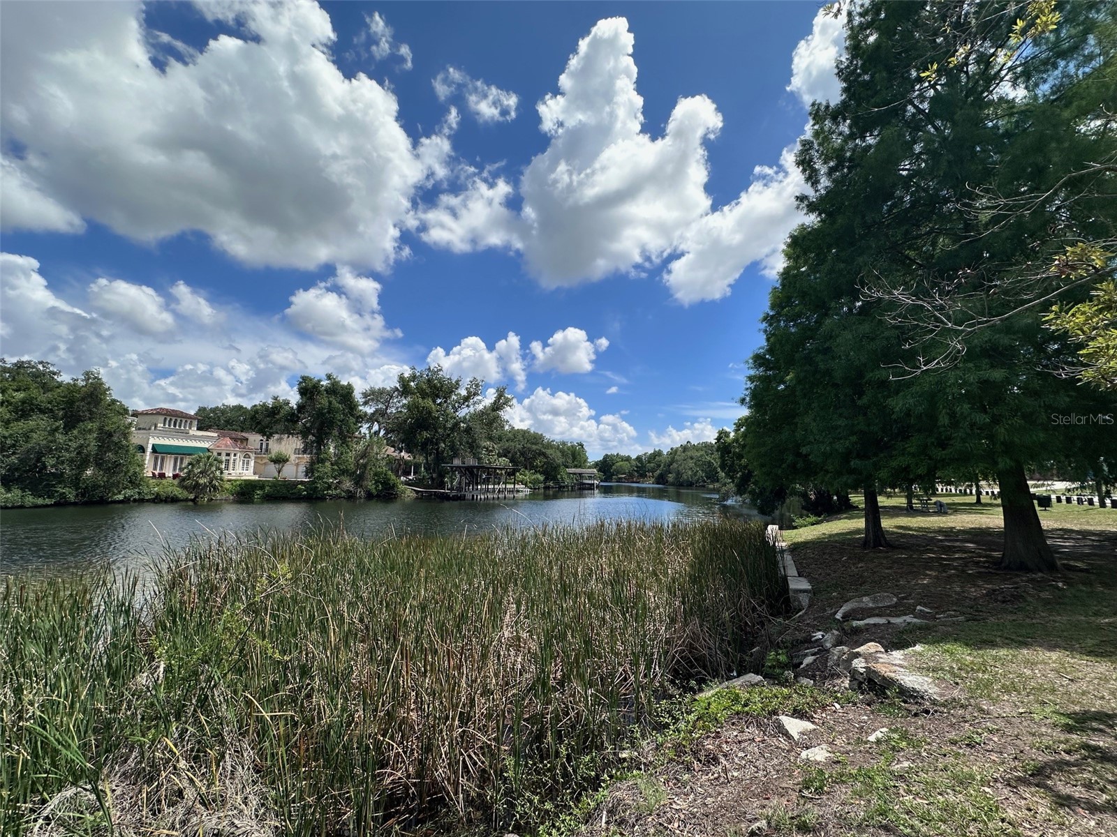 8018 N Ola Avenue Tampa FL 33604 TB8508094 image37