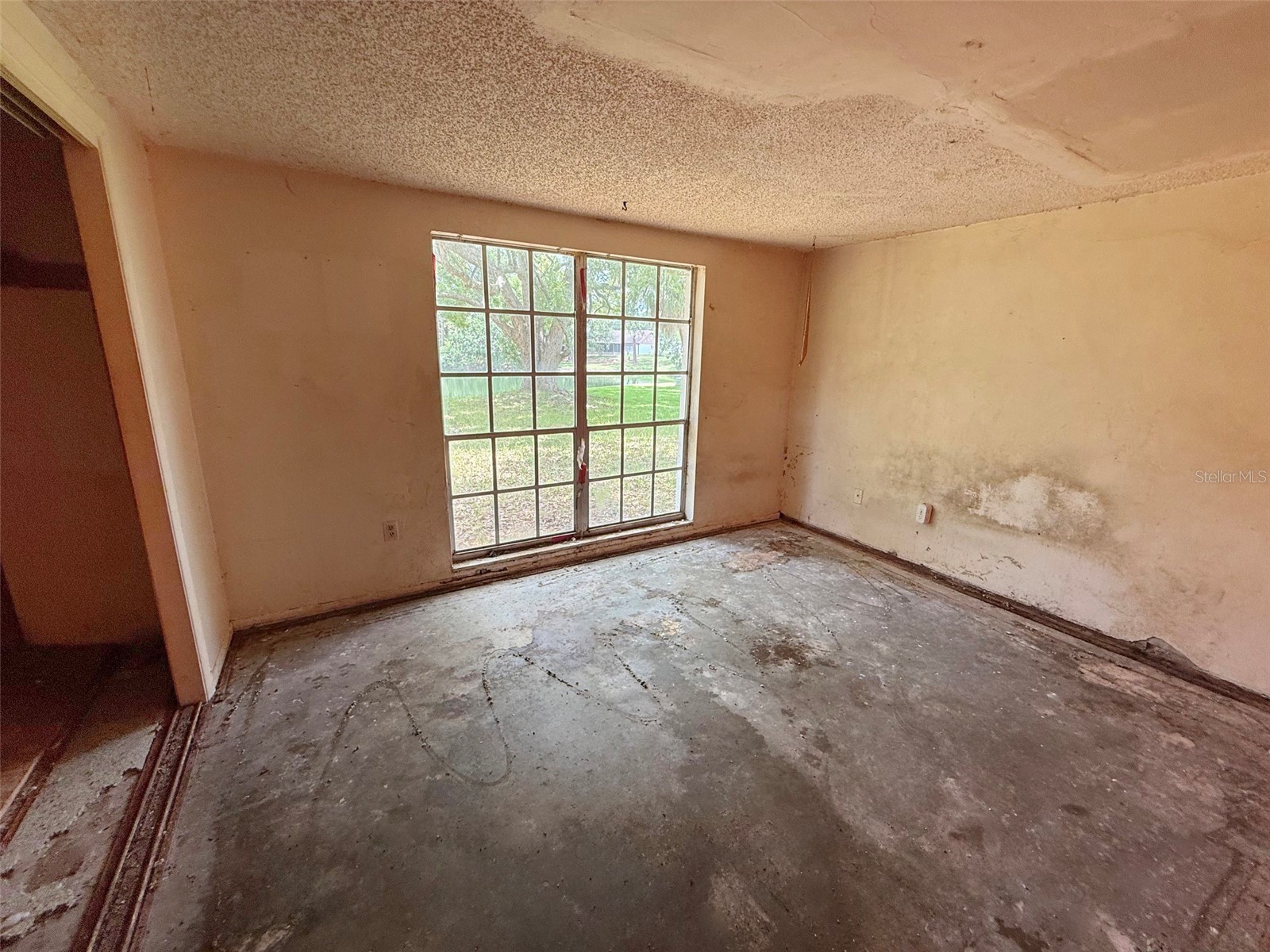 8018 Wildflower Row Hudson FL 34667 W7886267 image13