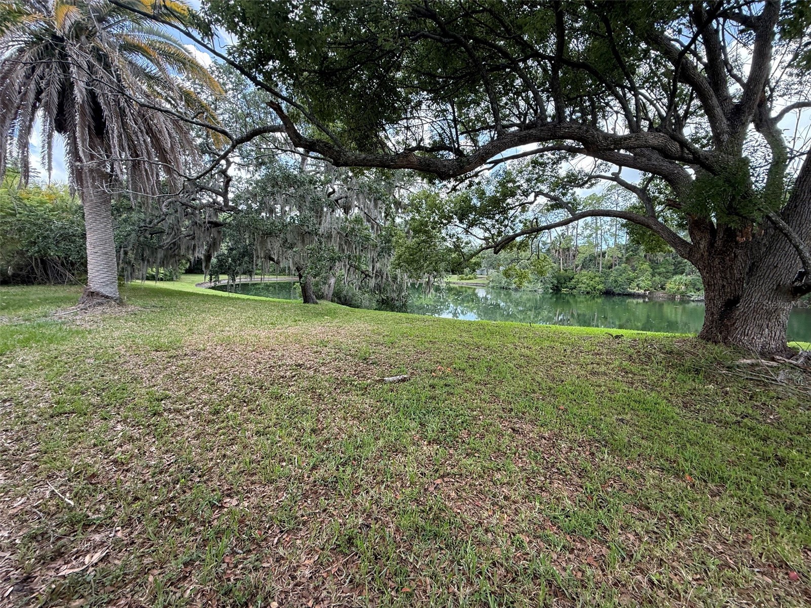8018 Wildflower Row Hudson FL 34667 W7886267 image4