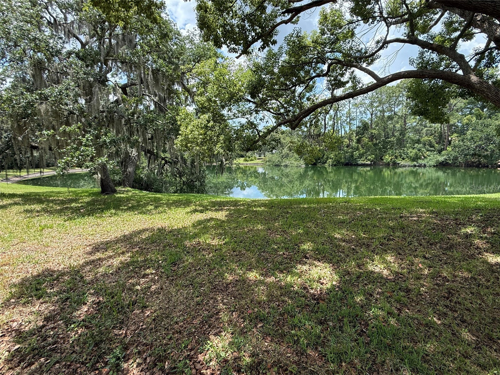 8018 Wildflower Row Hudson FL 34667 W7886267 image5