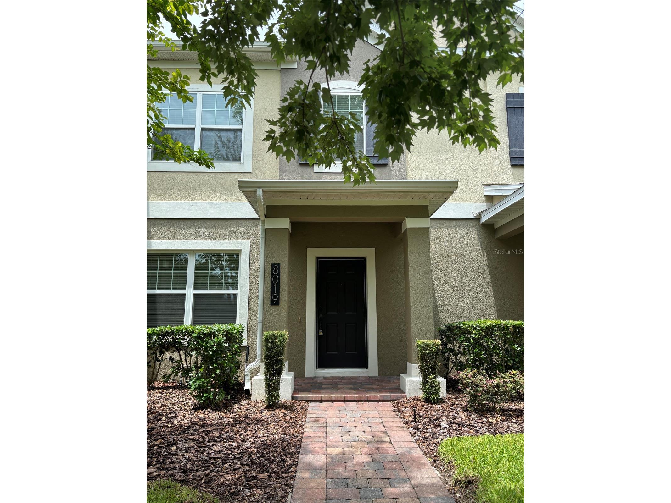 8019 Jeremy Joseph Alley Winter Garden FL 34787 O6415530 image2