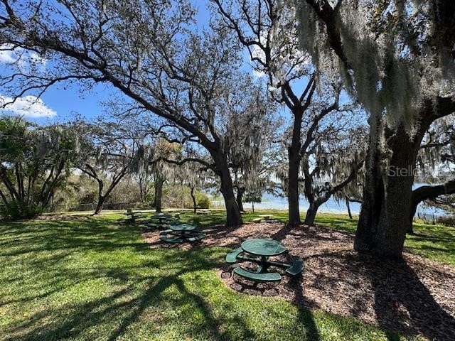 8019 N Madeira Court Orlando FL 32836 S5143915 image56