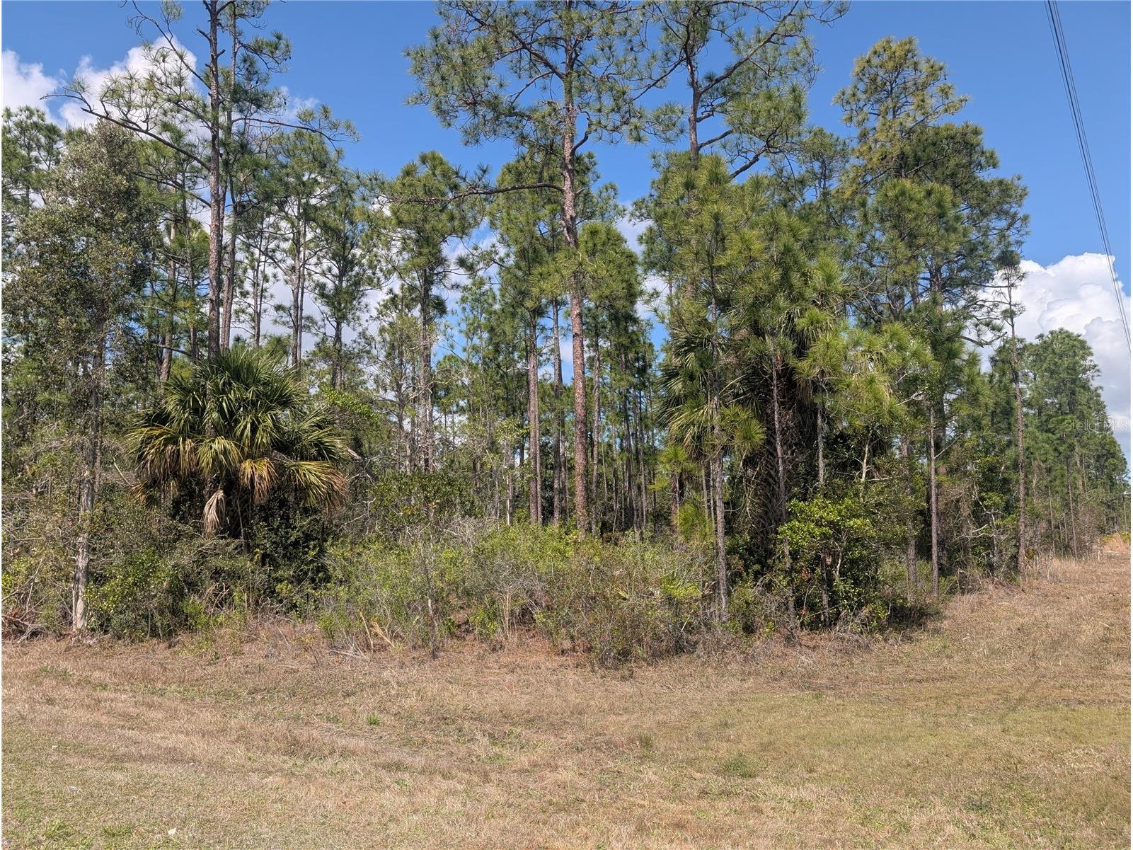 802 Althea Drive Indian Lake Estates FL 33855 - LAKE WALK-IN-WATER P4938042 image1