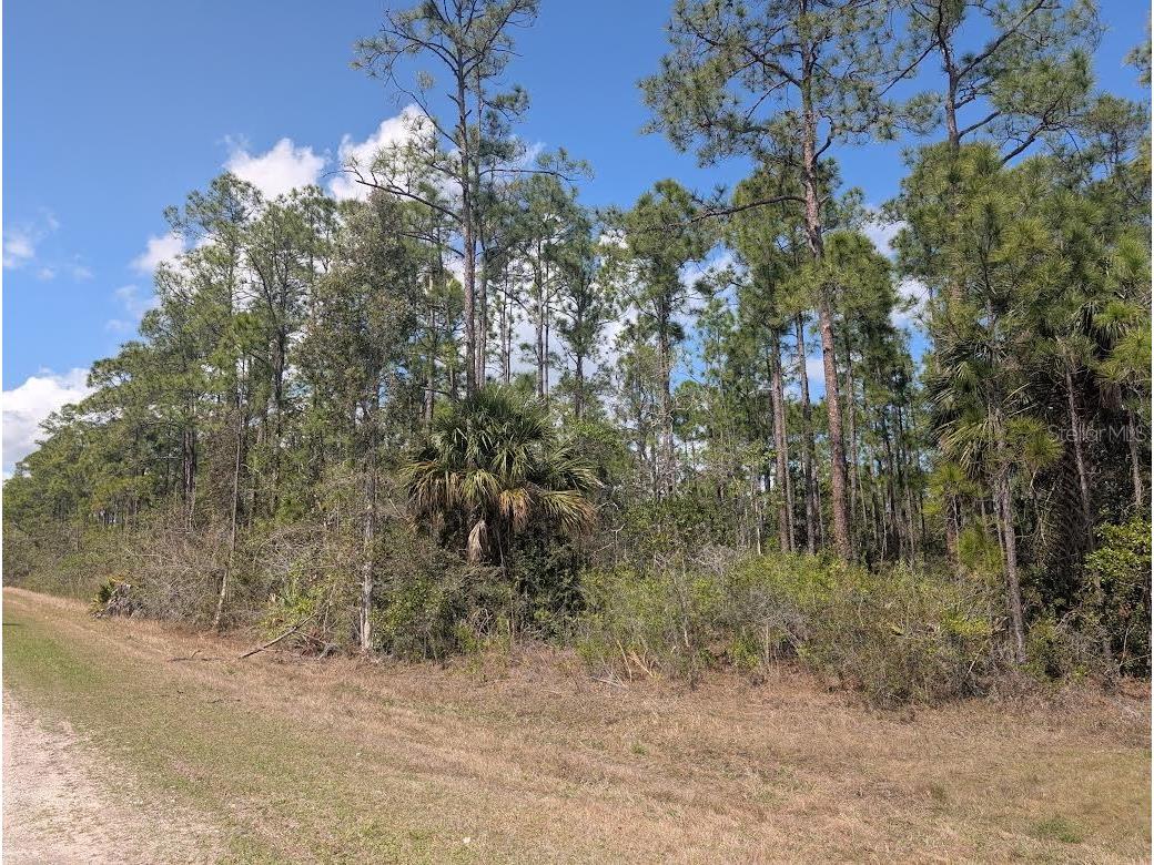 802 Althea Drive Indian Lake Estates FL 33855 - LAKE WALK-IN-WATER P4938042 image5