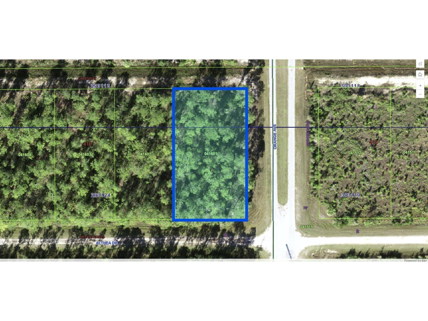 802 Althea Drive Indian Lake Estates FL 33855 - LAKE WALK-IN-WATER P4938042 image7