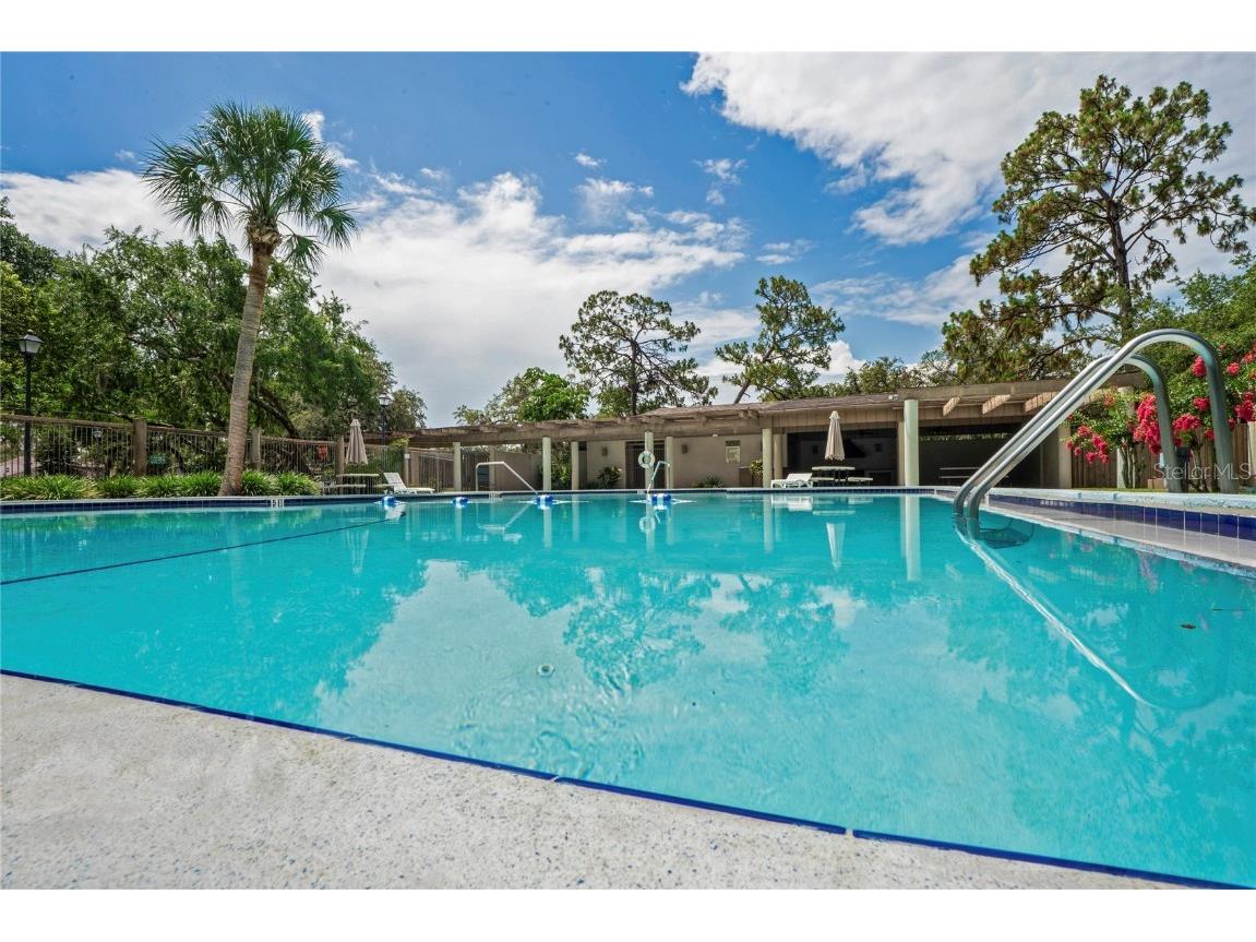 802 Antler Court Brandon FL 33511 TB8391535 image31