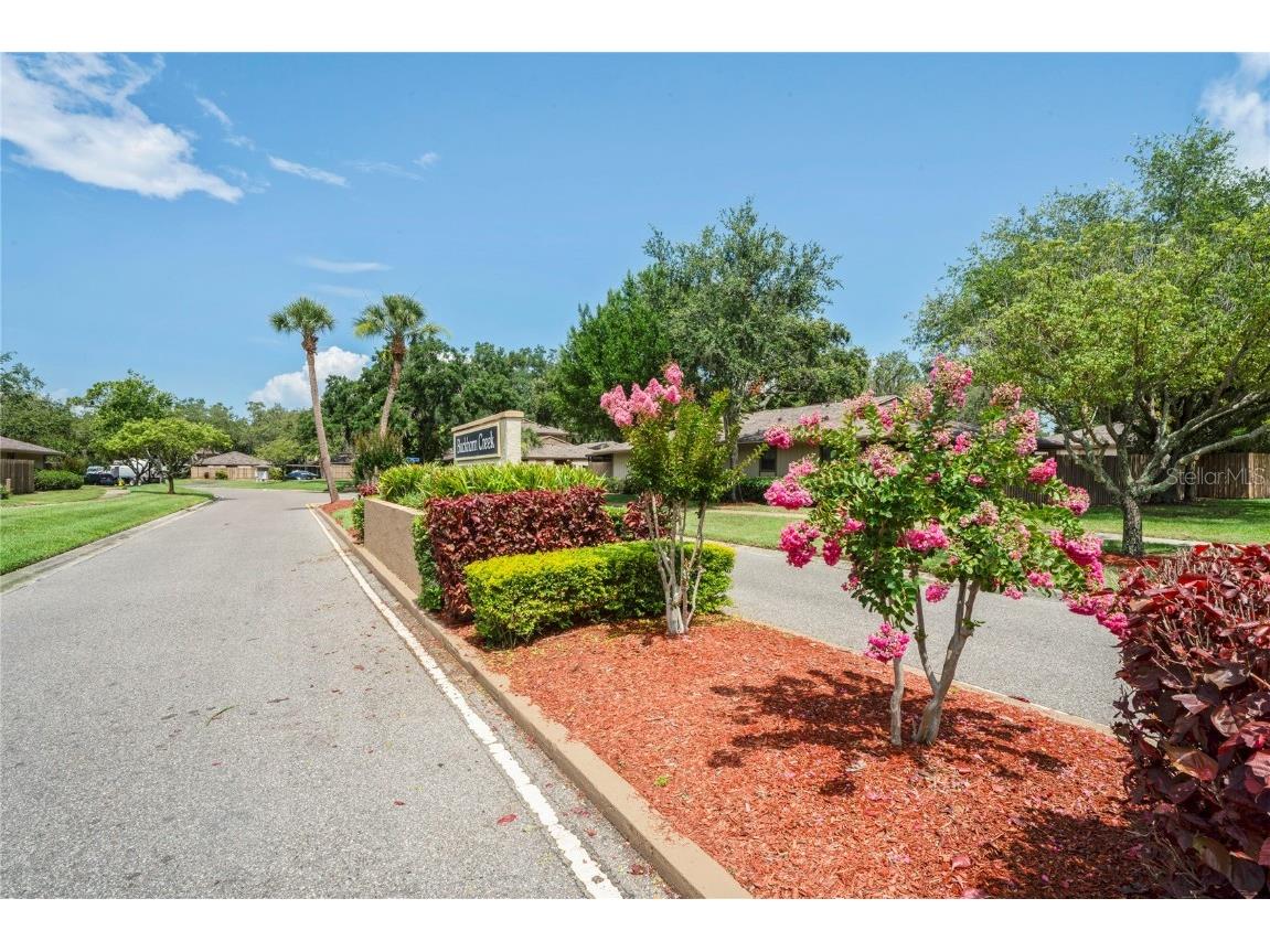 802 Antler Court Brandon FL 33511 TB8391535 image37