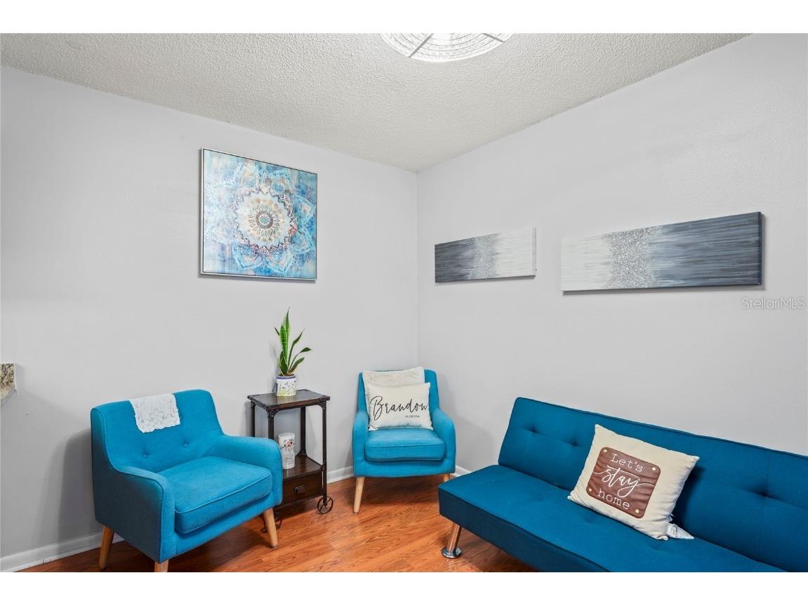 802 Antler Court Brandon FL 33511 TB8391535 image6