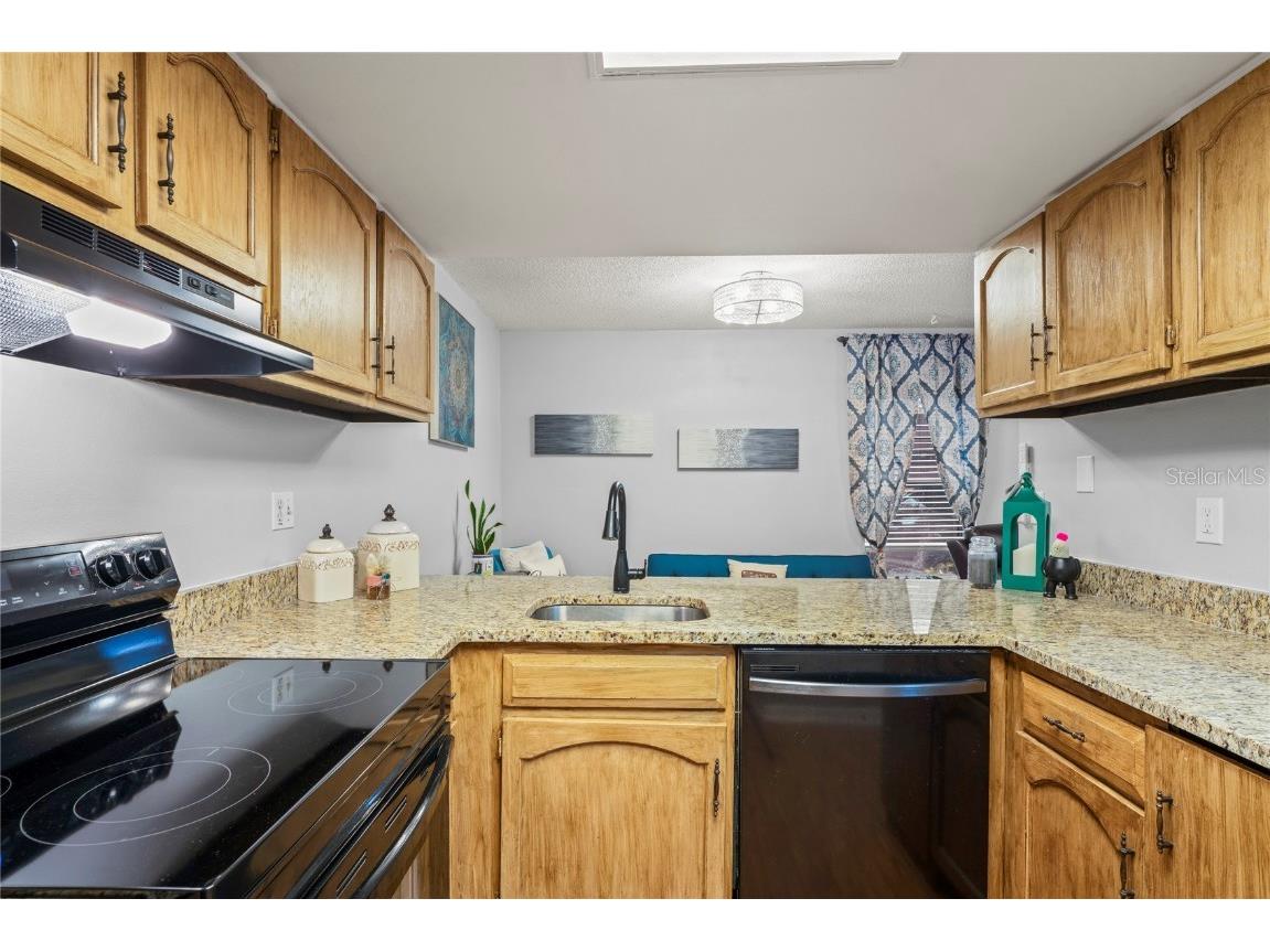 802 Antler Court Brandon FL 33511 TB8391535 image9