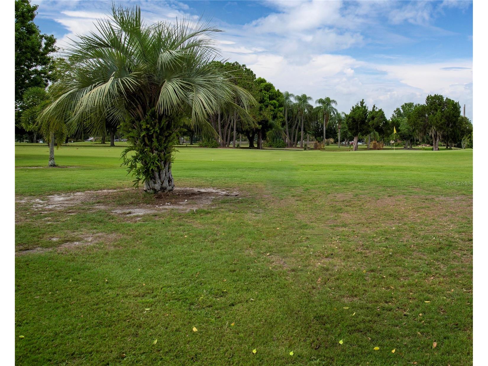802 Buttonwood Drive Bradenton FL 34208 A4681332 image64