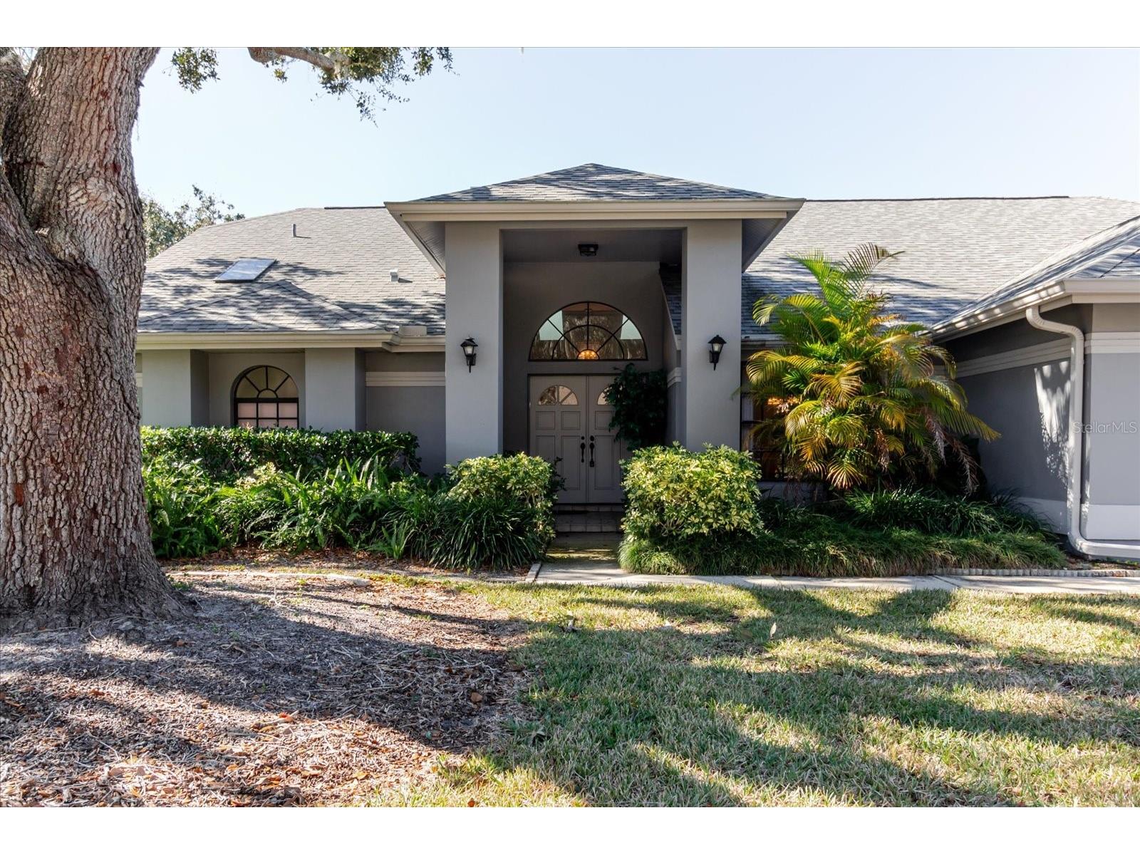 802 Centerwood Drive Tarpon Springs FL 34688 TB8465812 image1