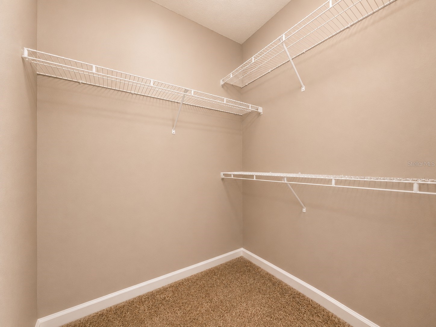 802 Crest Pines Drive #836 Orlando FL 32828 S5151403 image28