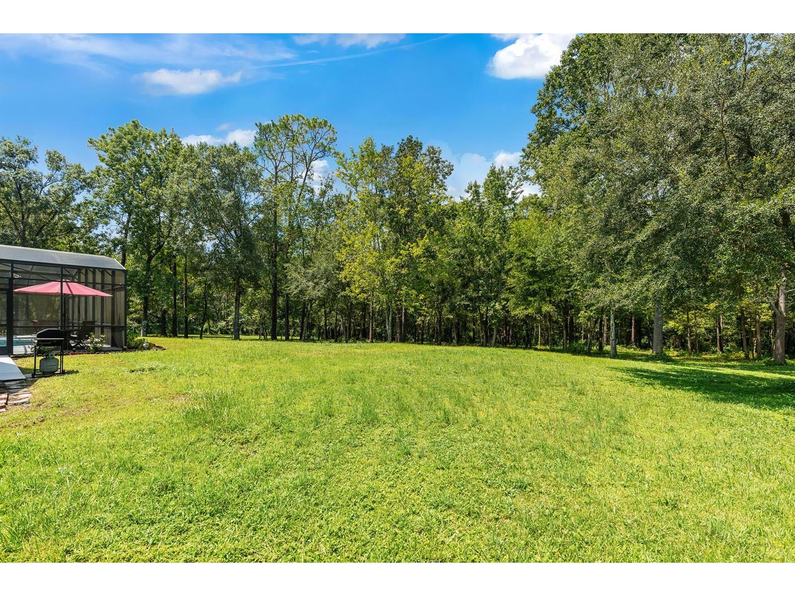 802 Hamilton Drive Orlando FL 32833 FC311992 image54