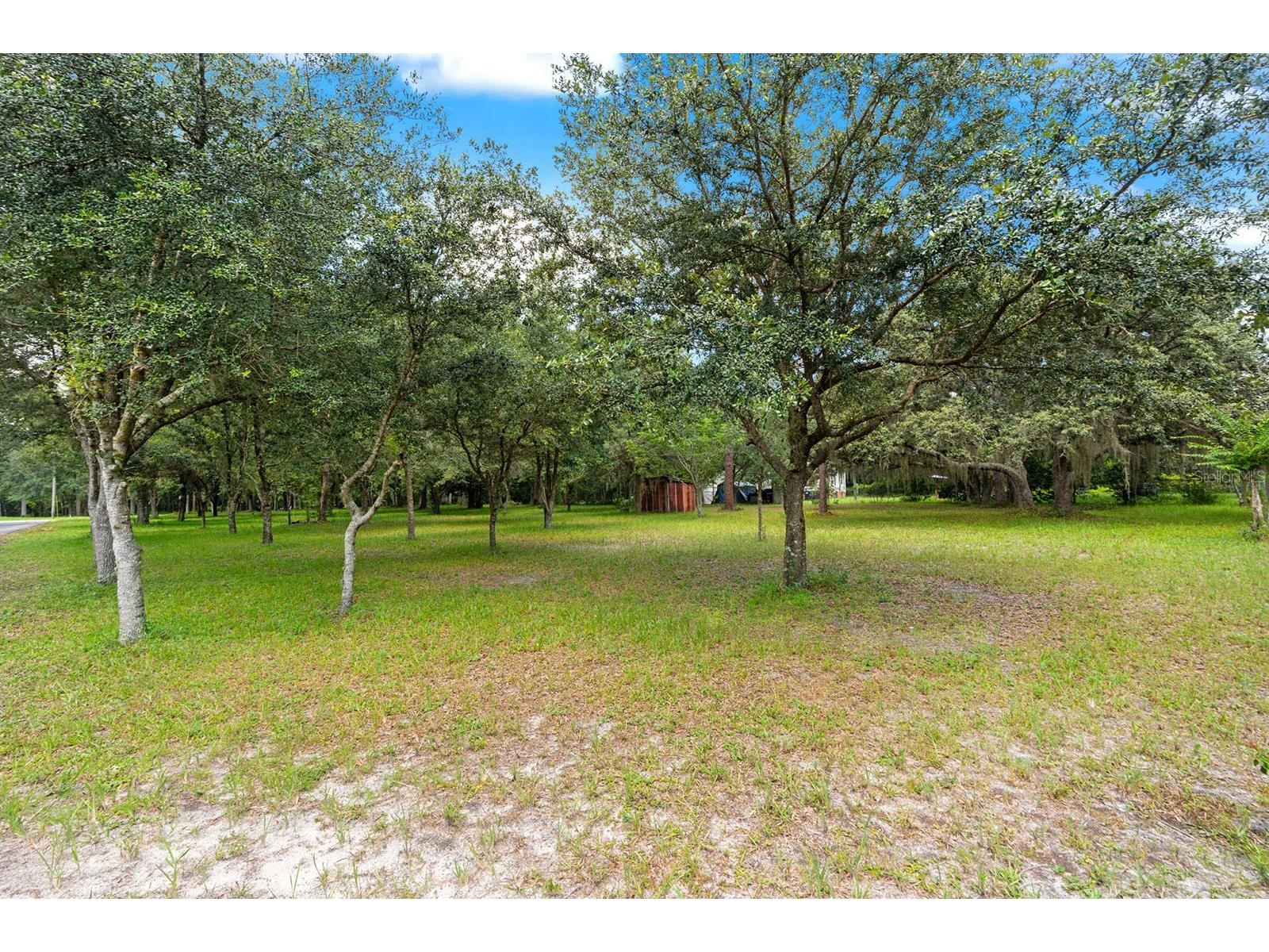 802 Hamilton Drive Orlando FL 32833 FC311992 image58