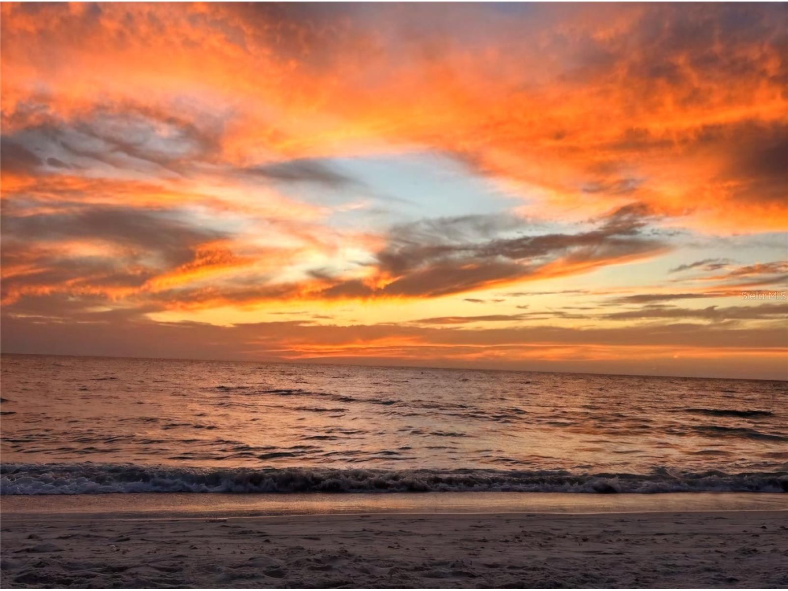 802 Hidden Harbour Drive Indian Rocks Beach FL 33785 TB8444822 image27