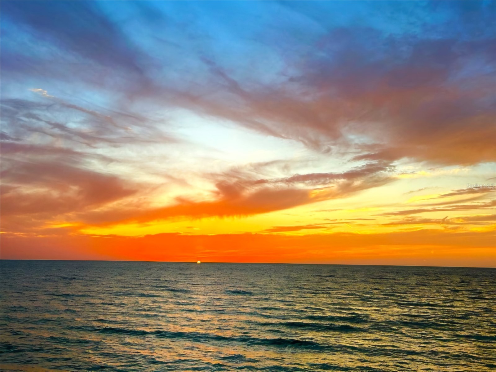 802 Hidden Harbour Drive Indian Rocks Beach FL 33785 TB8444822 image4