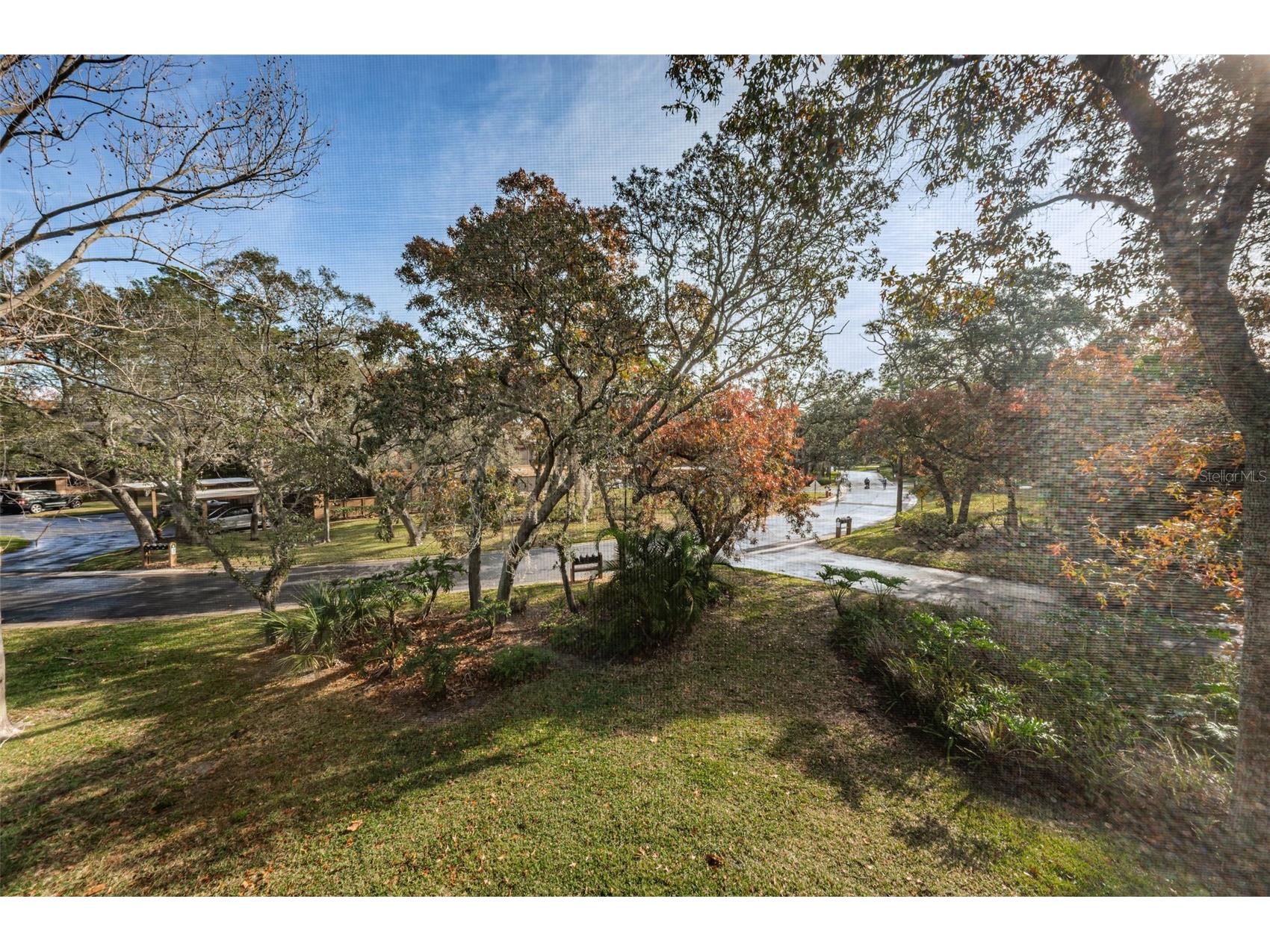 802 Lennox Road W #802 Palm Harbor FL 34683 TB8479050 image24