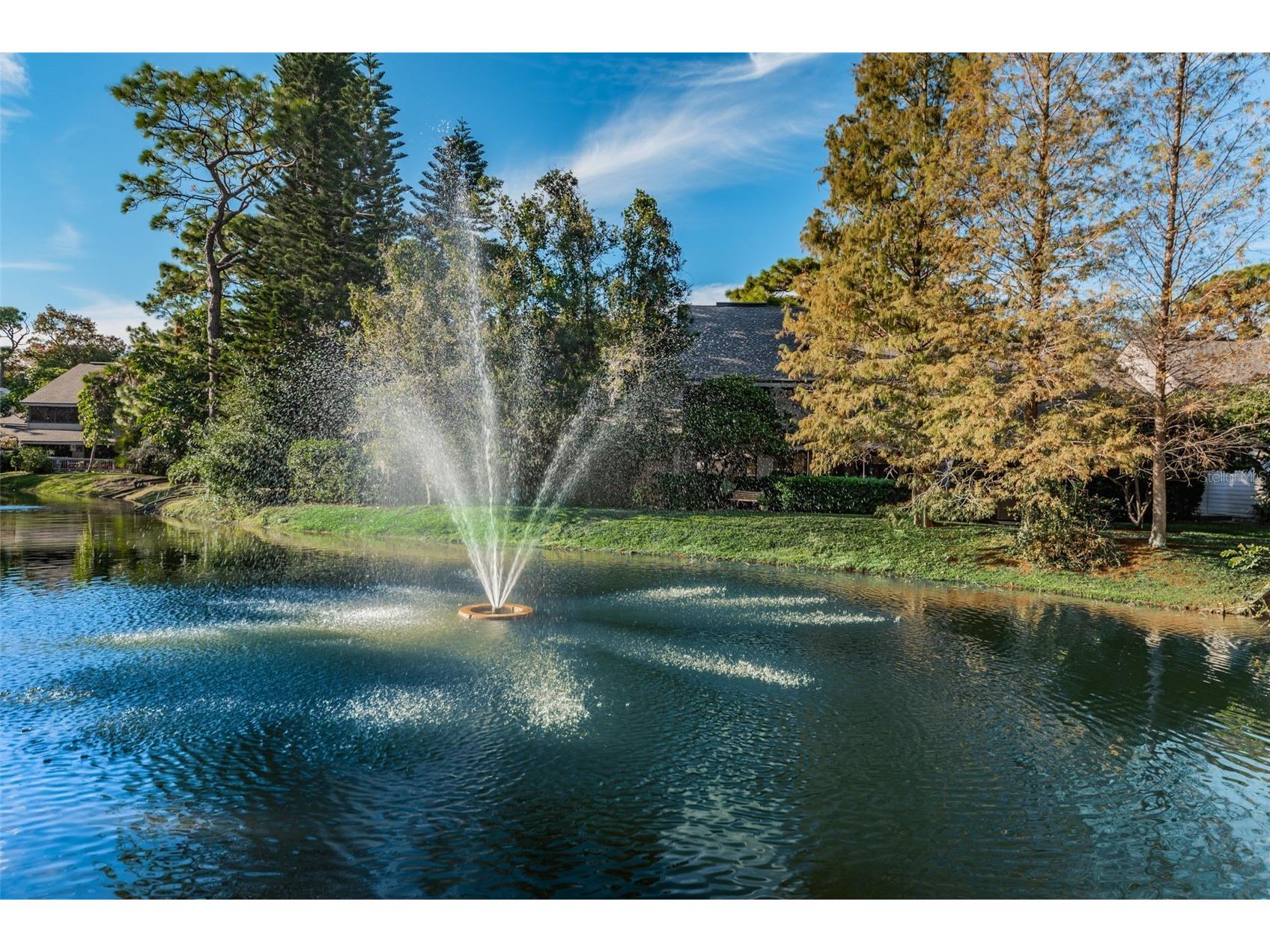 802 Lennox Road W #802 Palm Harbor FL 34683 TB8479050 image27